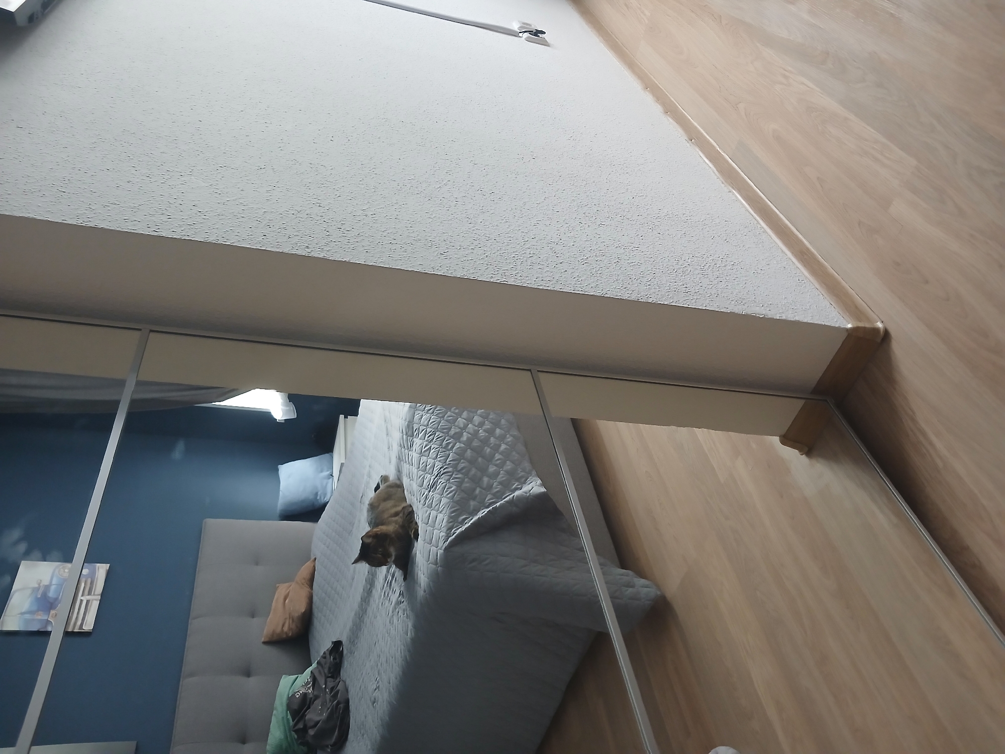 The image shows a bedroom with a large bed and a mirror. A cat is lying on the bed. The room has blue walls and wooden floors. The mirror reflects the bed, the cat, and the floor. The scene appears to be a domestic interior, possibly a bedroom. The photograph is taken from a low angle, looking towards the bed.