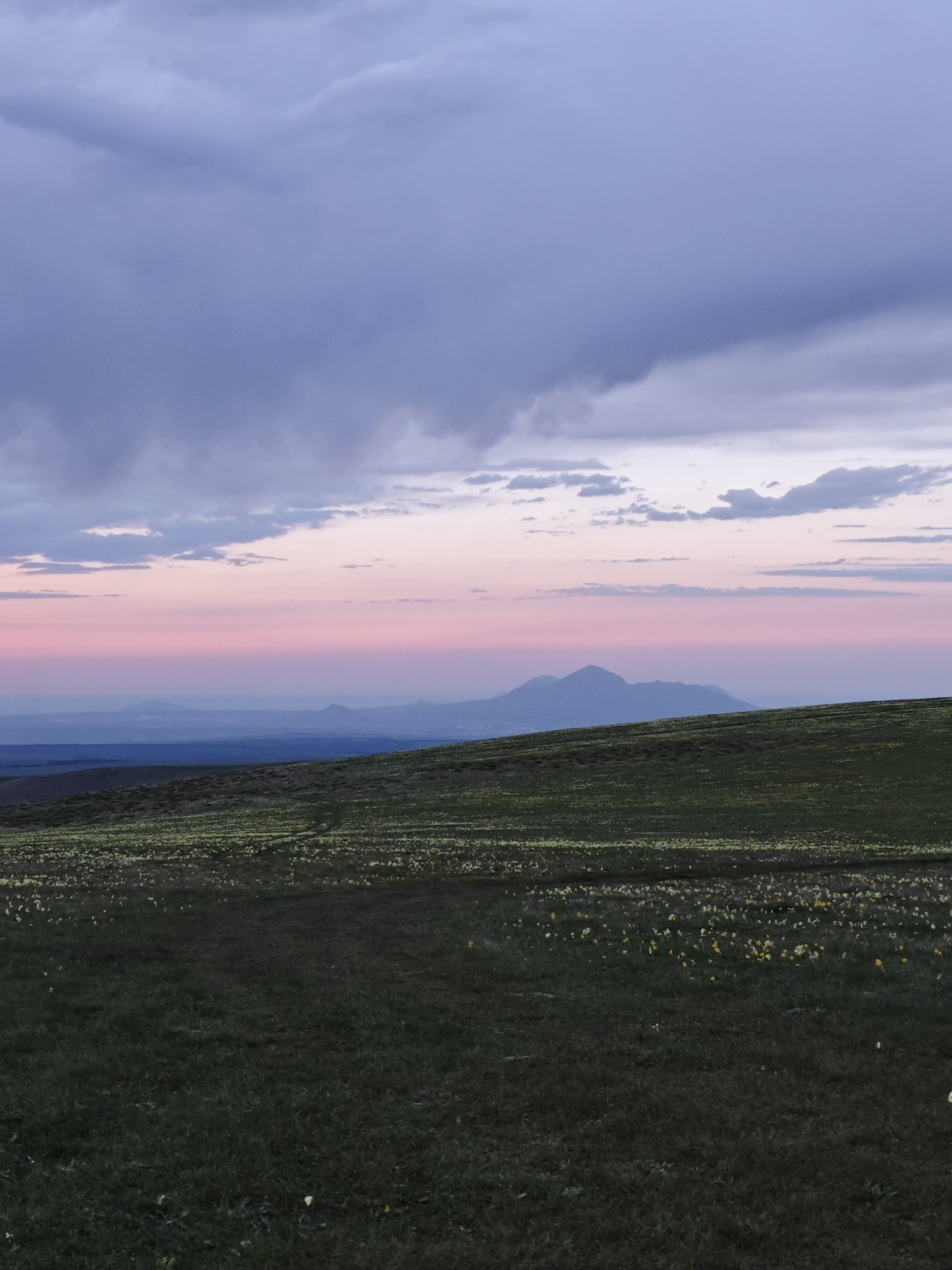 The image depicts a landscape in Kichmalka, Russia, featuring a grassy field in the foreground. The field is scattered with small, yellow flowers. In the mid-ground, the land rises slightly to form a hill. Beyond the hill, distant mountain peaks are visible under a sky transitioning from a blue hue on the horizon to pink, and further up to gray clouds. The sky's colors suggest either dawn or dusk. No people or animals are visible in the scene.