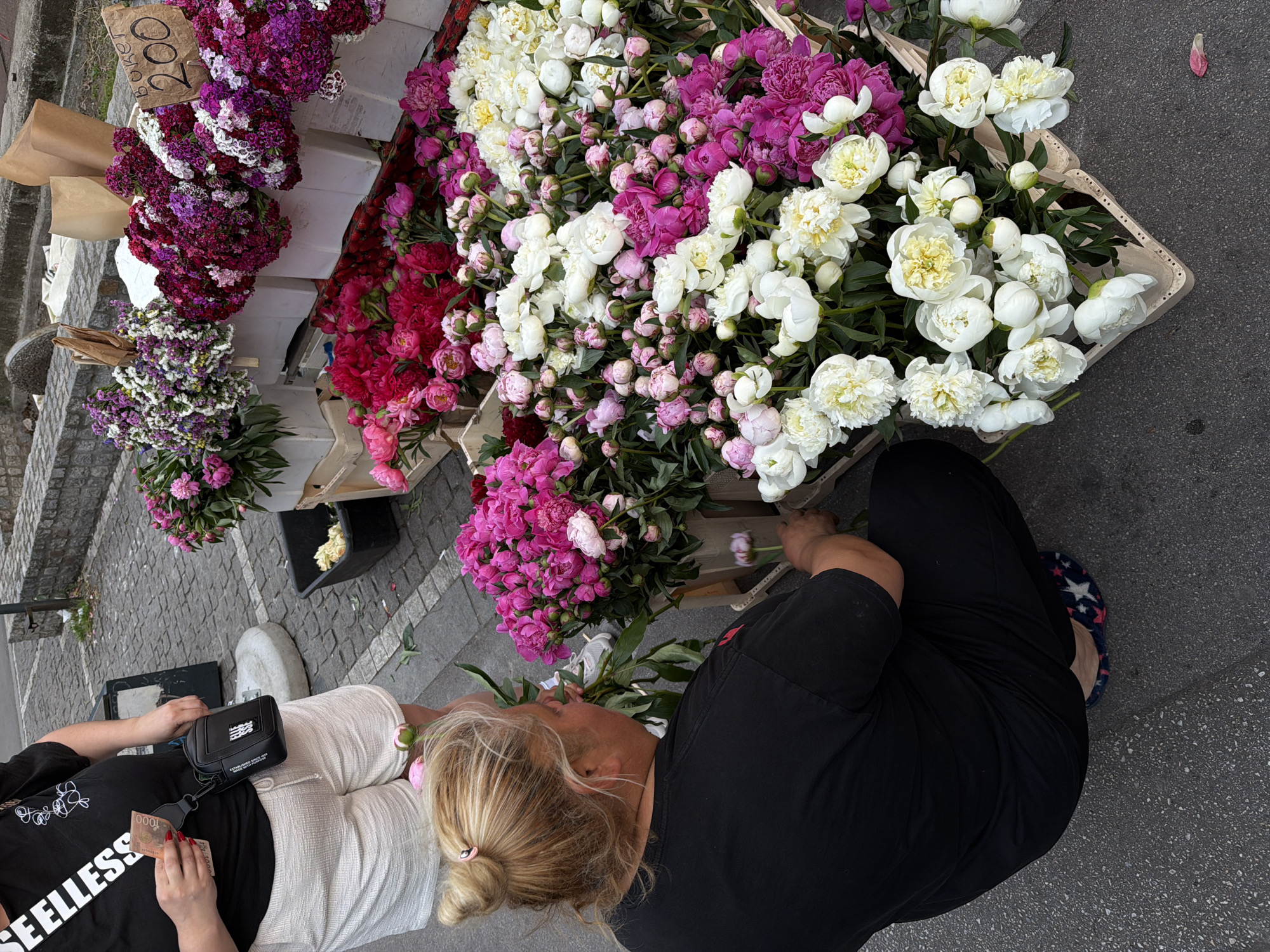 A top-down shot captures a flower stall scene, likely in a city setting. The stall features an assortment of flowers, including vibrant purples and whites. Two people are present: one in a black shirt and the other in white. The person in black appears to be arranging the flowers. The person in white is holding currency in their hands. The location is Vracar Urban Municipality, Serbia.