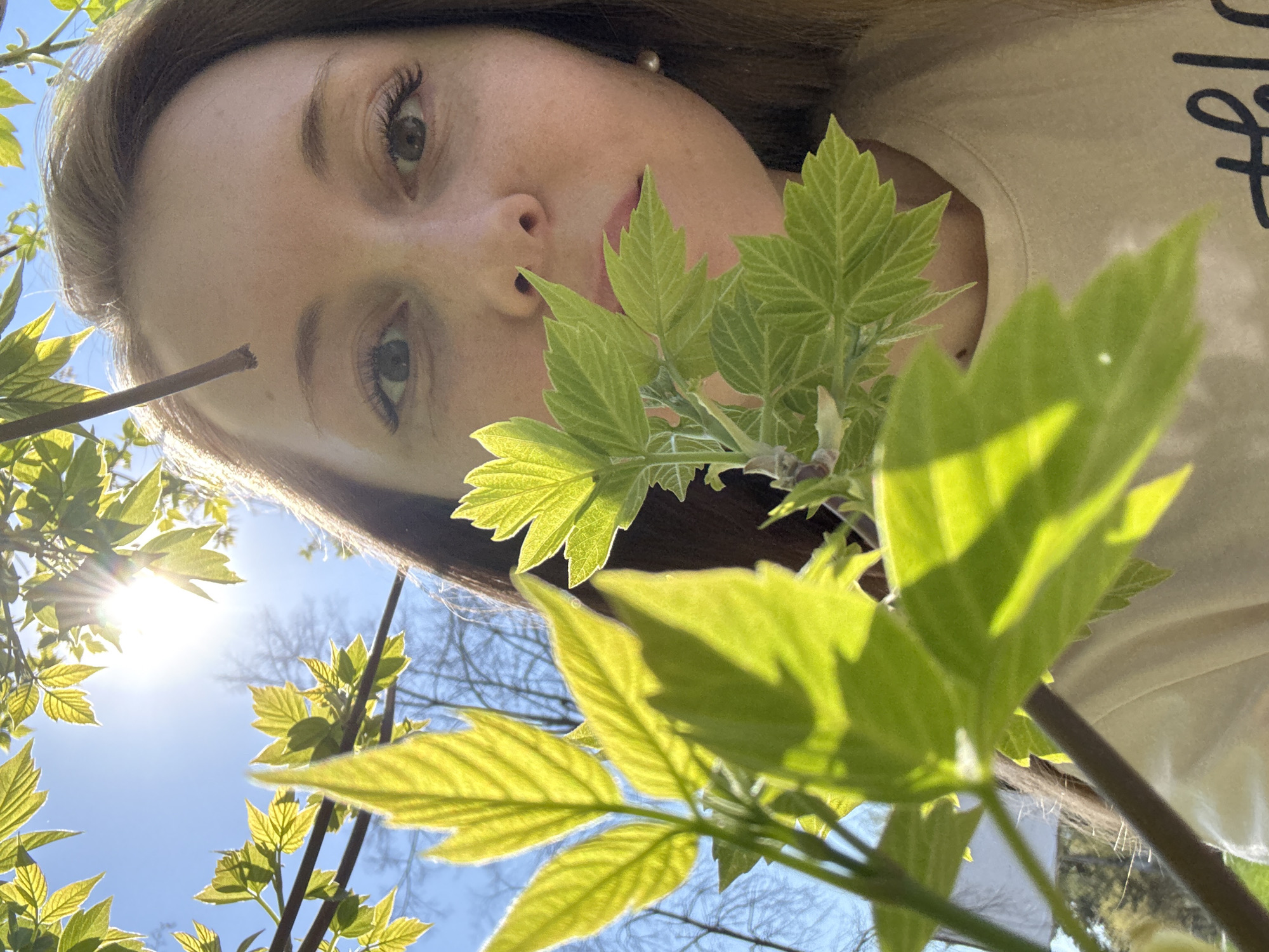 A person with light brown hair and fair skin is depicted in a close-up, low-angle shot, likely in an outdoor environment. The subject's face, particularly the eyes, nose, and part of the forehead, is visible. Some branches with green leaves obscure part of the face, creating a foreground element. The background reveals a blue sky with hints of tree branches and the sun. The person is wearing a light-colored top. No specific location within a city can be determined from the visual information.