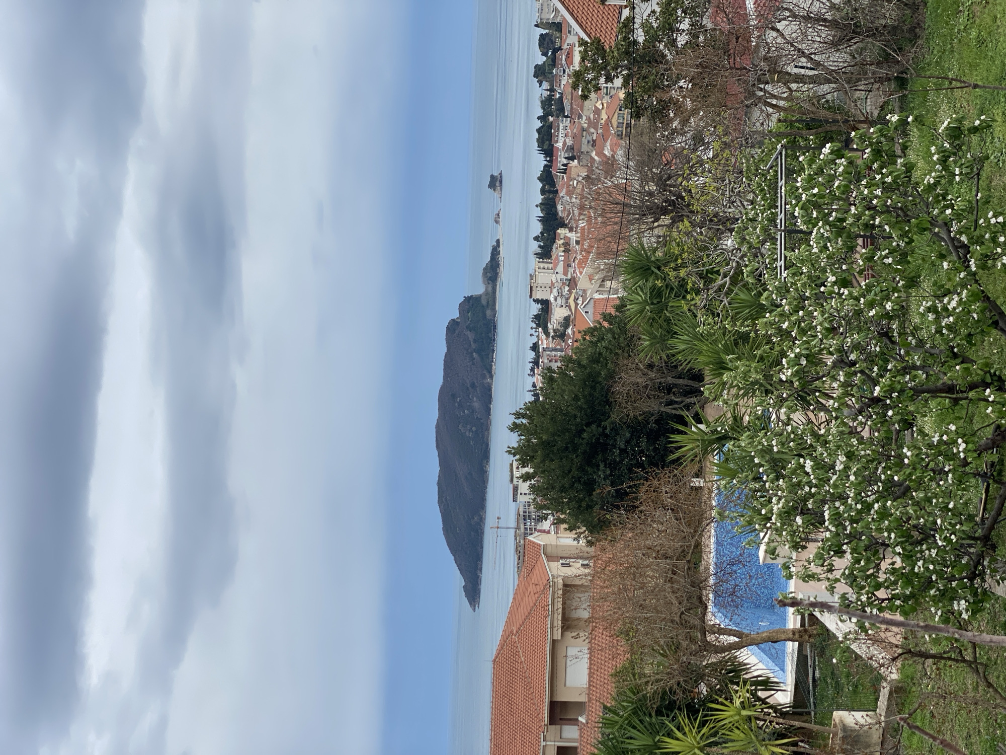 The image captures a coastal scene in Budva, Montenegro, under an overcast sky. The photograph is taken from an elevated position, overlooking a landscape that merges urban elements with natural features.
In the middle ground, a dense cluster of red-tiled rooftops indicates a residential area. A land mass extends into the sea to the left, suggesting a peninsular or island formation. The Adriatic Sea fills the space between the landmass and the developed shoreline, under the cloudy sky.
In the foreground, foliage, including flowering trees and various shrubs, adds depth to the scene. Part of a residential structure is visible, including a section of a swimming pool with blue tiles.