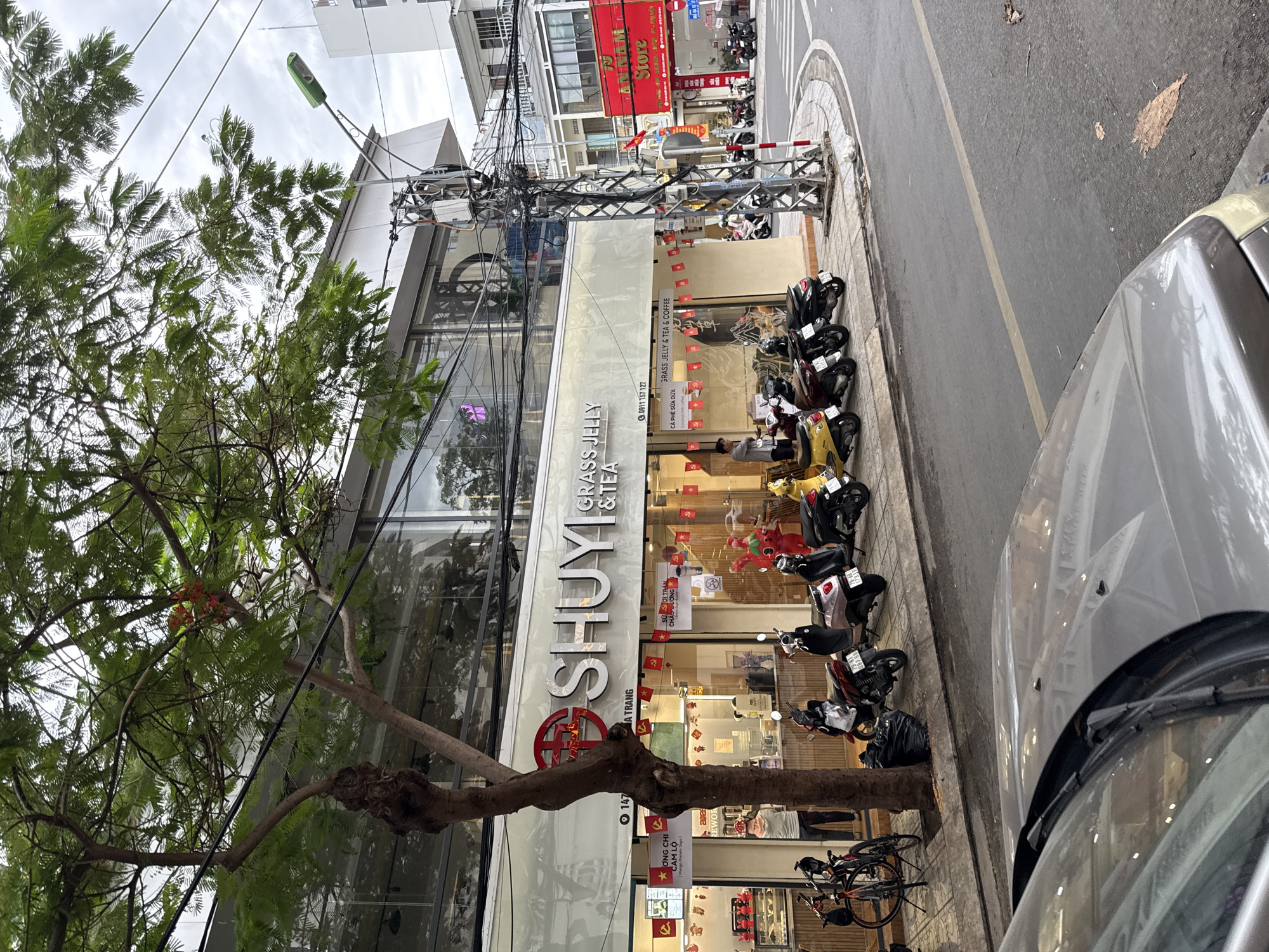 This is a street-level, eye-level, medium shot of a coffee shop in Nha Trang, Vietnam. The shop, named "SHUY GRASS JELLY & TEA," is located on the ground floor of a modern building. The facade is white with large glass windows and a prominent sign with the shop's name in reflective lettering. Red and yellow pennant banners are strung across the storefront. A variety of motorbikes are parked along the sidewalk in front of the shop, along with a bicycle. Inside the shop, displays of food and drinks are visible, and a person is seen behind the counter. A large tree with green foliage and some red flowers is in the foreground, partially obscuring the building. Electrical wires and a utility pole are also present. The street is paved, and a car is parked in the foreground, with its hood and windshield visible. The sky is overcast.