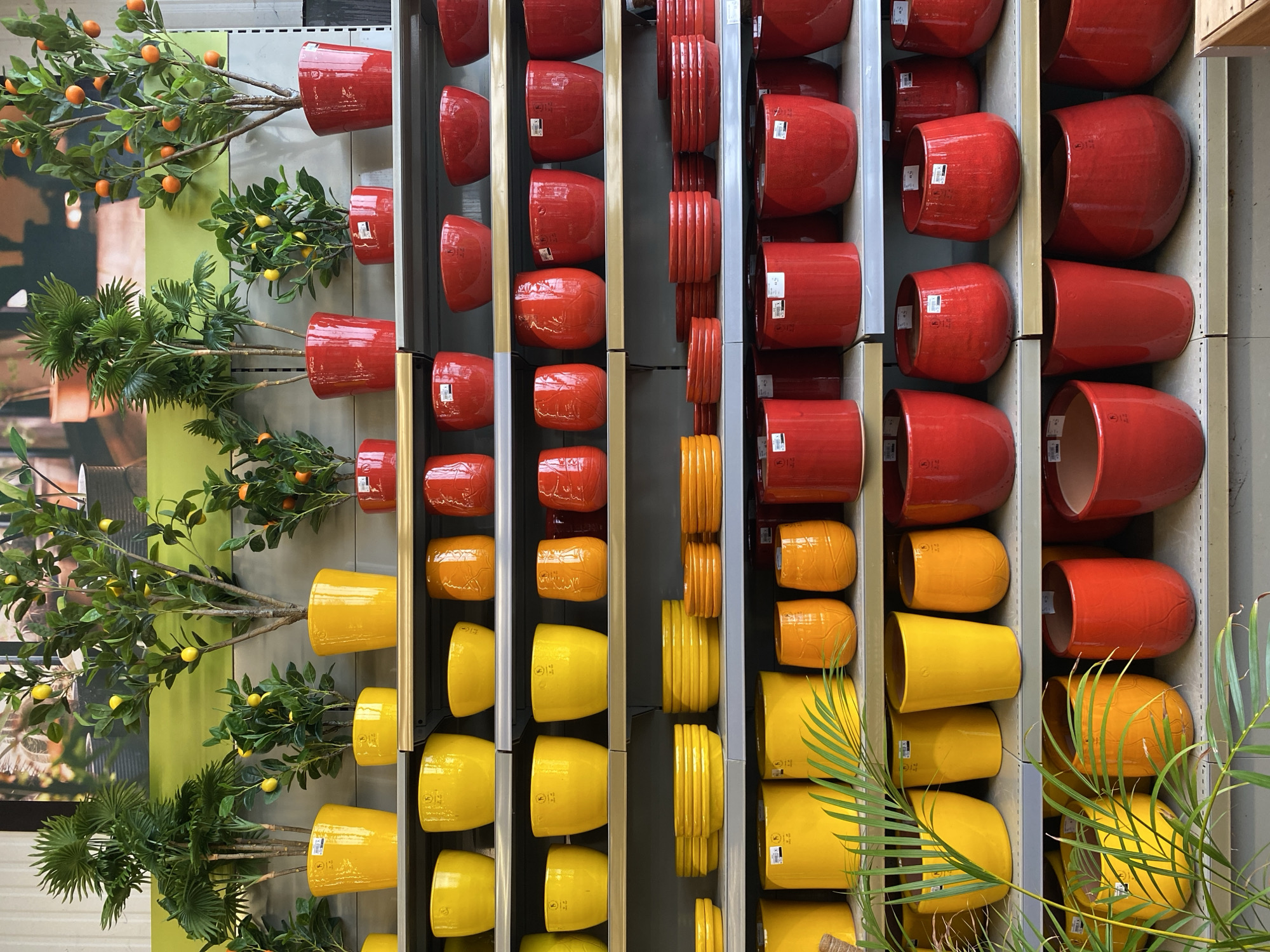 This image captures a vibrant and well-organized display of potted plants and ceramic planters within what appears to be a garden center or retail store, located in Thiers, France. The perspective suggests looking along a shelving aisle.
On the left side of the frame, several plants are showcased in glossy ceramic pots against a light green background. The top plant features green foliage with small, bright orange fruits, resembling tangerines, in a vivid red pot. Below it, two other plants are visible: one with green leaves and small yellow, lemon-like fruits in another red pot, and a palm-like plant with fan-shaped green fronds, also in a red pot. Further down, more plants bearing yellow fruits and additional palm-like specimens are displayed in glossy yellow ceramic pots.
The central and right portions of the image are filled with multi-tiered shelving units laden with numerous ceramic planters. These pots are arranged neatly, showcasing a range of sizes and shapes. The dominant colors of the planters are glossy red, orange, and yellow, creating a cheerful and eye-catching display. Many of these pots have white adhesive labels or stickers attached, likely serving as product tags or barcodes. Visible text on some labels includes "NO," "HEX," and numbers like "1" and "2," presumably indicating product specifications or stock codes.
The scene is brightly and evenly lit, suggesting an indoor commercial environment. No people are visible, and the focus is entirely on the merchandise. The organized arrangement and variety of products indicate a retail setting for gardening enthusiasts or home decorators.