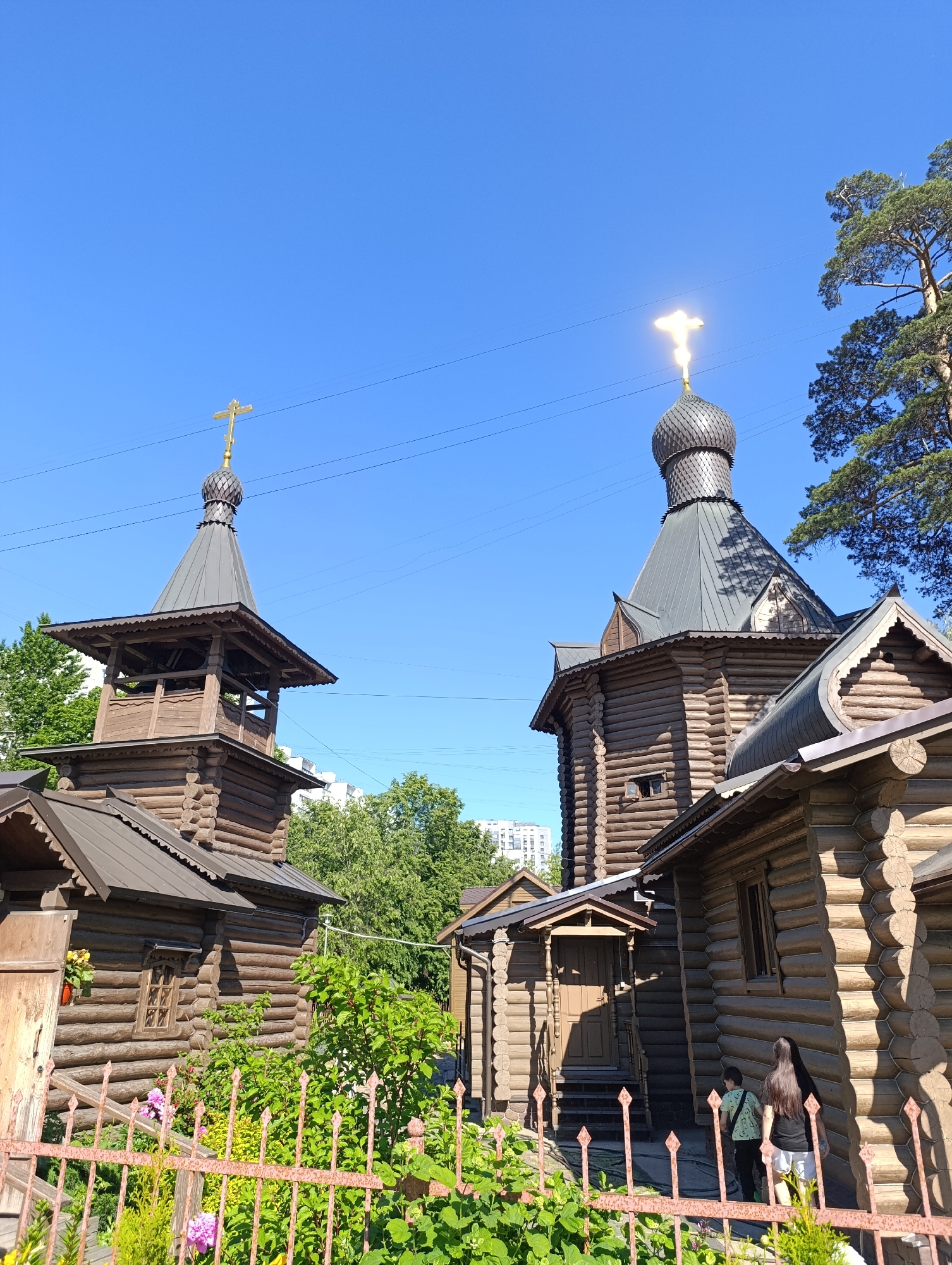 This image captures the Church of the Holy Great Martyr George the Victorious in Koptevo, Moscow, Russia, under a clear blue sky on a bright sunny day. The scene features two primary structures constructed from horizontal logs: a larger church building on the right and a separate bell tower on the left.
The main church building exhibits dark grey, shingled roofs and an onion-shaped dome topped with a golden Orthodox cross, which reflects intense sunlight. The bell tower, also made of logs, has a square base supporting an open belfry section beneath a conical dark grey roof, similarly crowned with a smaller, sun-gilded Orthodox cross. Both structures feature intricate wooden details and small windows.
In the foreground, a rusty pink/red metal fence with decorative spear-like pickets separates the viewer from the church grounds, with lush green bushes and some pink flowers visible behind it. Two individuals are walking away from the camera in the lower right corner, near the entrance of the main church. One is an adult female with long dark hair, wearing a black top and light shorts; the other is a child or younger person wearing a green t-shirt and dark pants with a backpack.
The environment is characterized by vibrant greenery, including a large evergreen tree on the far right and various deciduous trees and bushes surrounding the complex. In the distant background, multi-story modern apartment buildings are visible between the trees, indicating an urban setting. Several thin black power lines traverse the upper portion of the clear blue sky. The strong sunlight casts defined shadows across the wooden buildings and foliage.