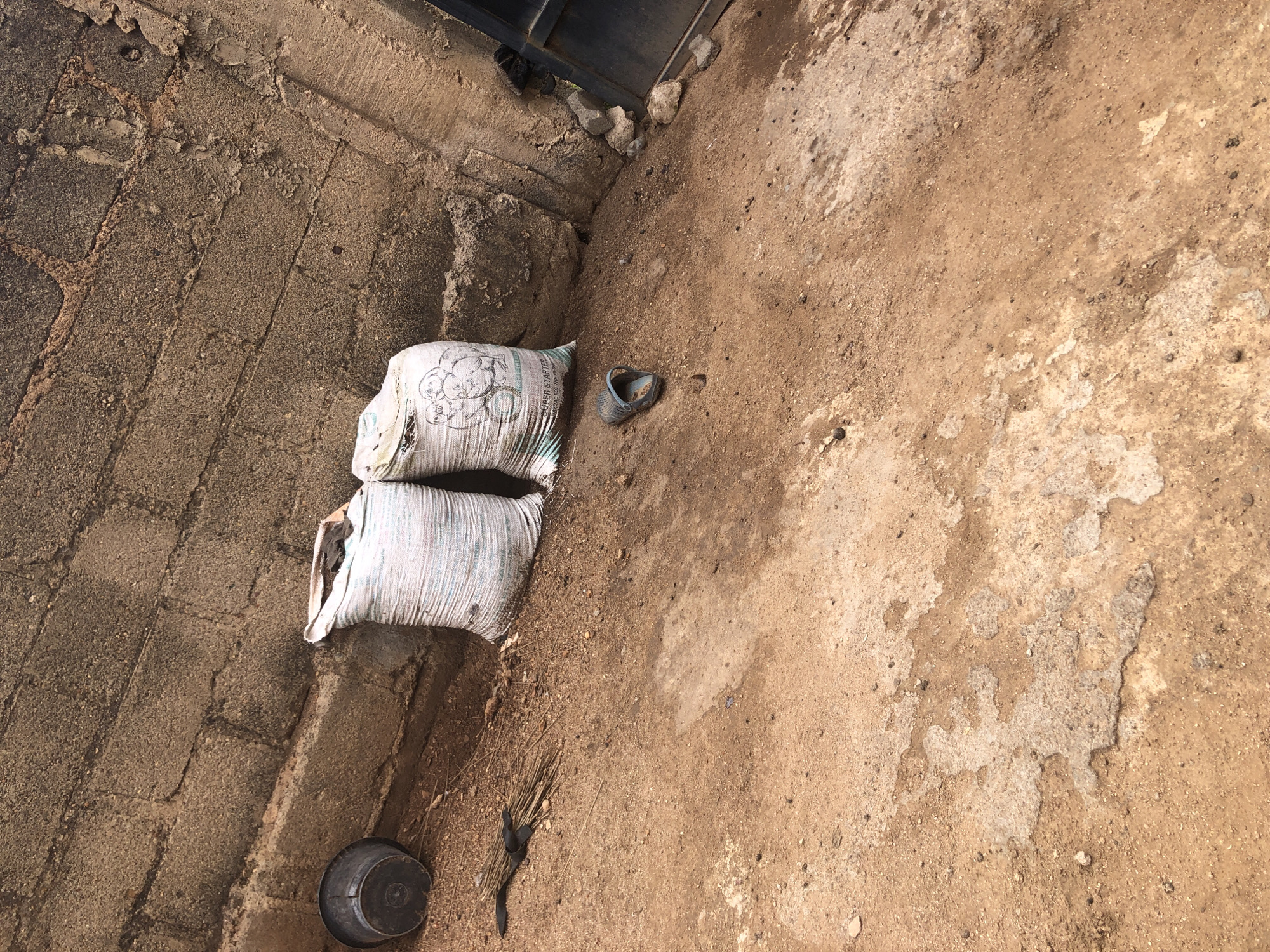 This image depicts an outdoor, unpaved ground area in Kabong, Nigeria, at the base of a weathered concrete block wall. The ground consists of reddish-brown dirt with scattered small stones and irregular patches of lighter, possibly compacted or damp soil. Leaning against the wall are two large white woven sacks. The sack on the right features an illustration of chicks and the legible text "SUPER STARTER" and a partial "REG. NO. 45...". An overturned dark grey metal bucket rests on the ground to the left of the sacks. A bundle of thin, dried sticks is situated near the bucket. In the foreground, a single dark blue/black flip-flop lies on the dirt. On the far right, a dark metal gate or door frame is partially visible, with several rocks stacked near its base. No individuals are present in the scene, and no actions or interactions are depicted.