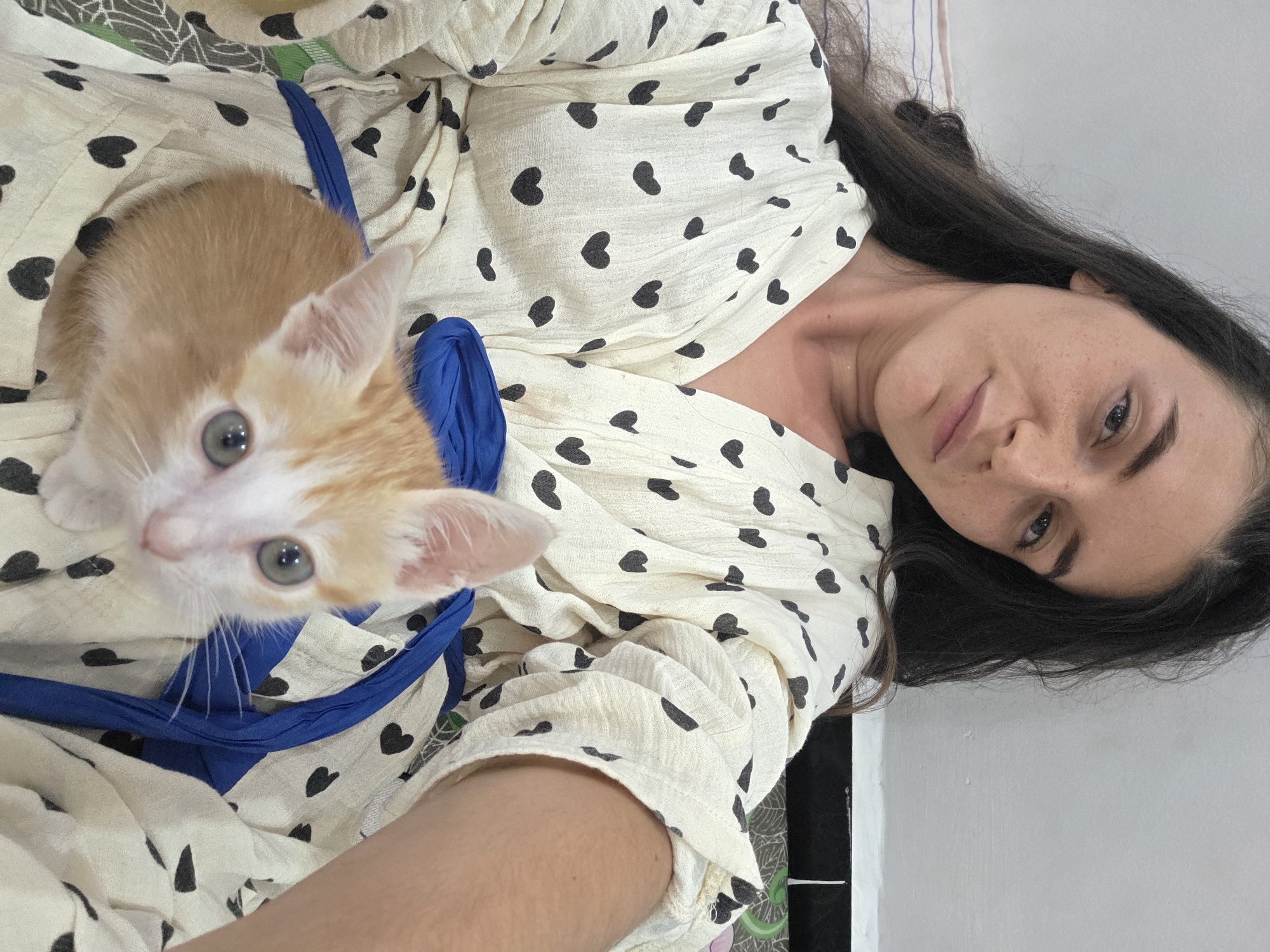 A woman with dark hair is holding an orange and white kitten. The woman is wearing a white shirt with black hearts. The kitten is in a blue carrier. The photo was likely taken indoors. The location in the city of Mũi Né, Vietnam is not identifiable from the image.