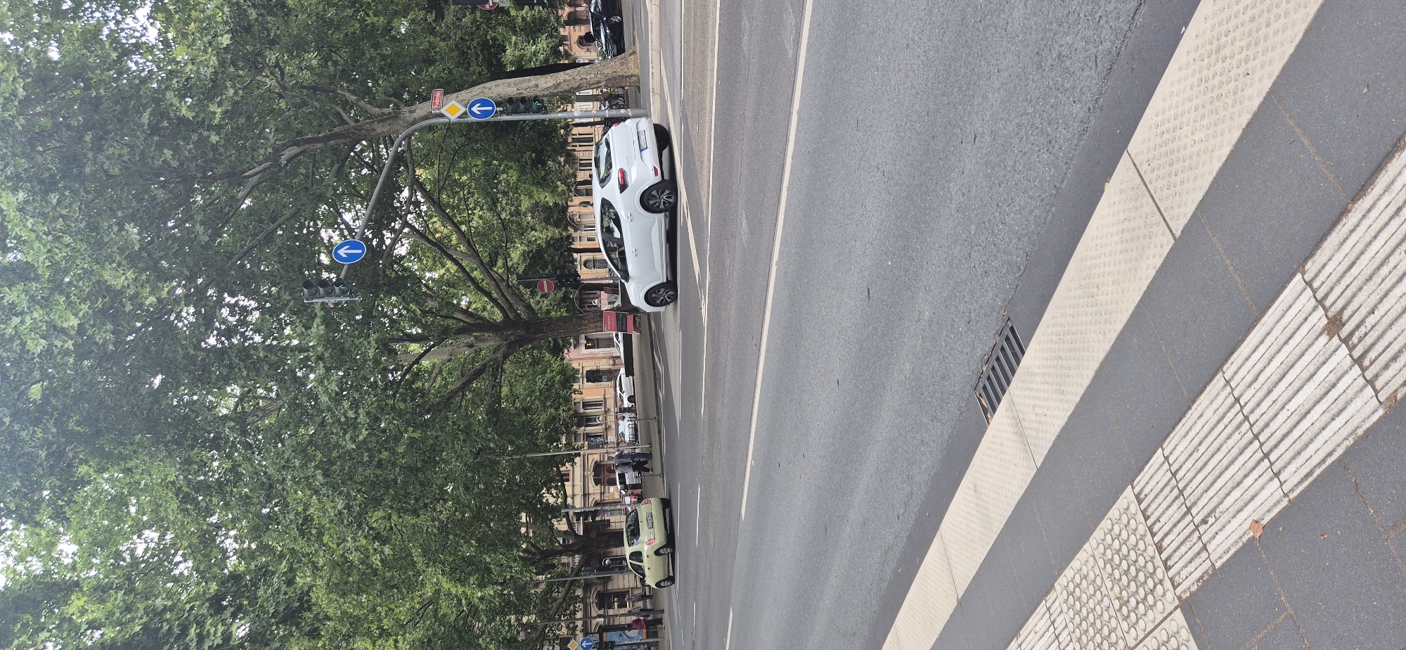 The image depicts a street scene in Mainz, Germany, specifically on Rheinstraße. A white hatchback, possibly a Renault Clio, is stopped at a traffic light on the right side of the road. Across the intersection, a light yellow hatchback is turning left. The street is lined with mature trees with dense green foliage, suggesting a pleasant summer day. Traffic lights and directional signs are visible overhead. In the foreground, a crosswalk with tactile paving indicates a pedestrian crossing. Buildings with classic European architecture are visible in the background. The scene is devoid of any overt criminal activity or danger, presenting a typical urban environment.