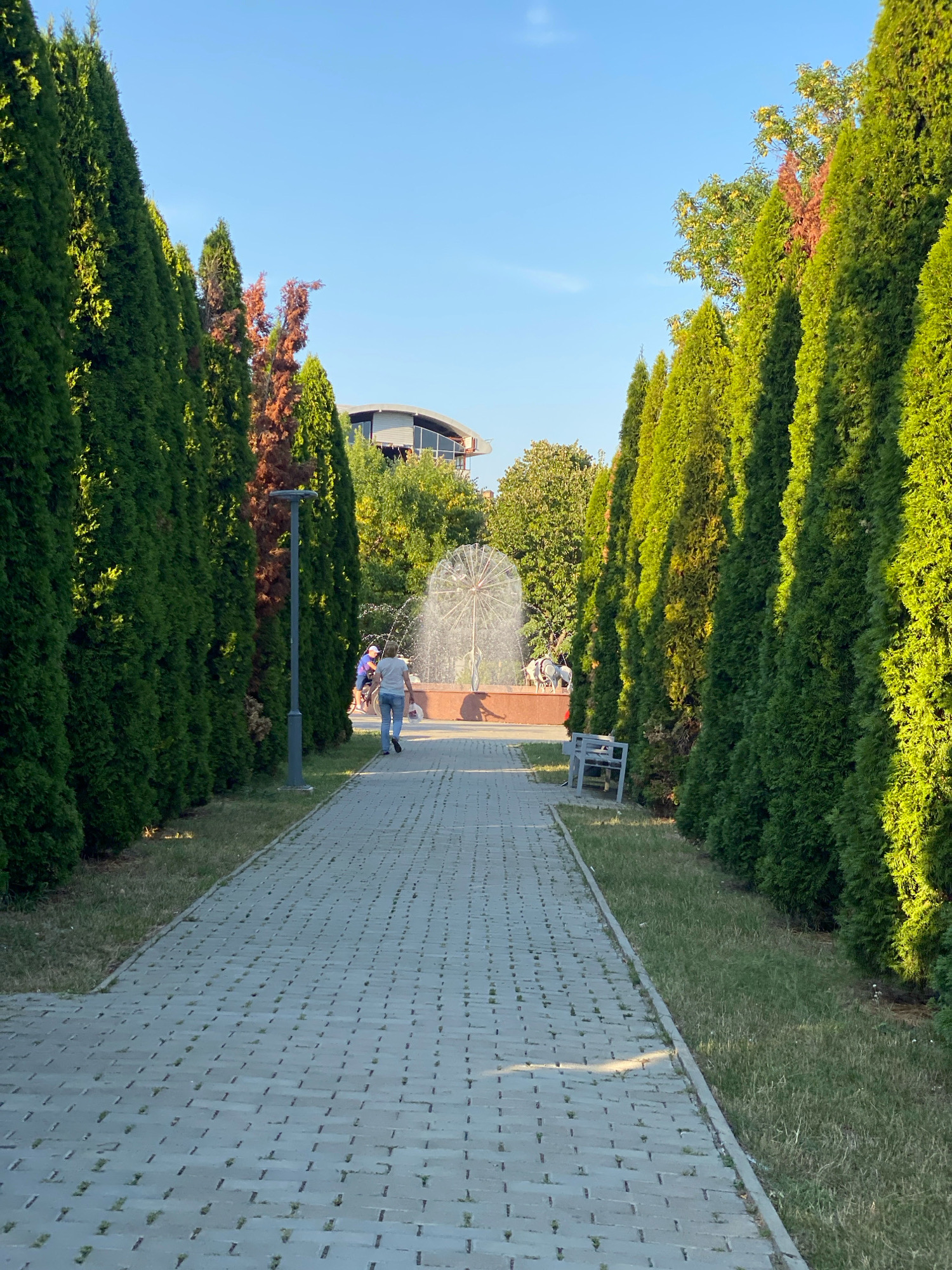 A paved walkway lined with tall, dense green cypress trees leads towards a fountain in a park. A person is walking away from the camera down the path, and to the right, a metal bench is visible. In the background, trees, a building with a curved roof, and more people are present. The sky is clear and blue. This scene is from Dendrarium Park in Chișinău, Moldova.