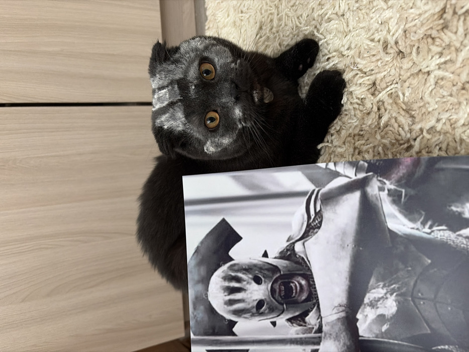 An indoor scene in Chaikovsky, Russia, features a dark-colored Scottish Fold cat with amber eyes, positioned on a light-beige, shaggy carpet. The cat's forehead, cheeks, and muzzle are marked with a light-colored, powdery substance, appearing as if applied or transferred. A small, circular, metallic-toned tag is visible around the cat's neck. Partially obscuring the cat's body to the left is a printed image, likely a book cover or photograph, depicting a grey-toned close-up of an Uruk-hai character from *The Lord of the Rings*. The Uruk-hai is shown wearing a distinct helmet with eye slits and an open mouth revealing teeth, clad in armor, conveying an aggressive expression. The cat looks directly towards the camera. The background consists of light wood-grain paneling or cabinetry with visible vertical seams.