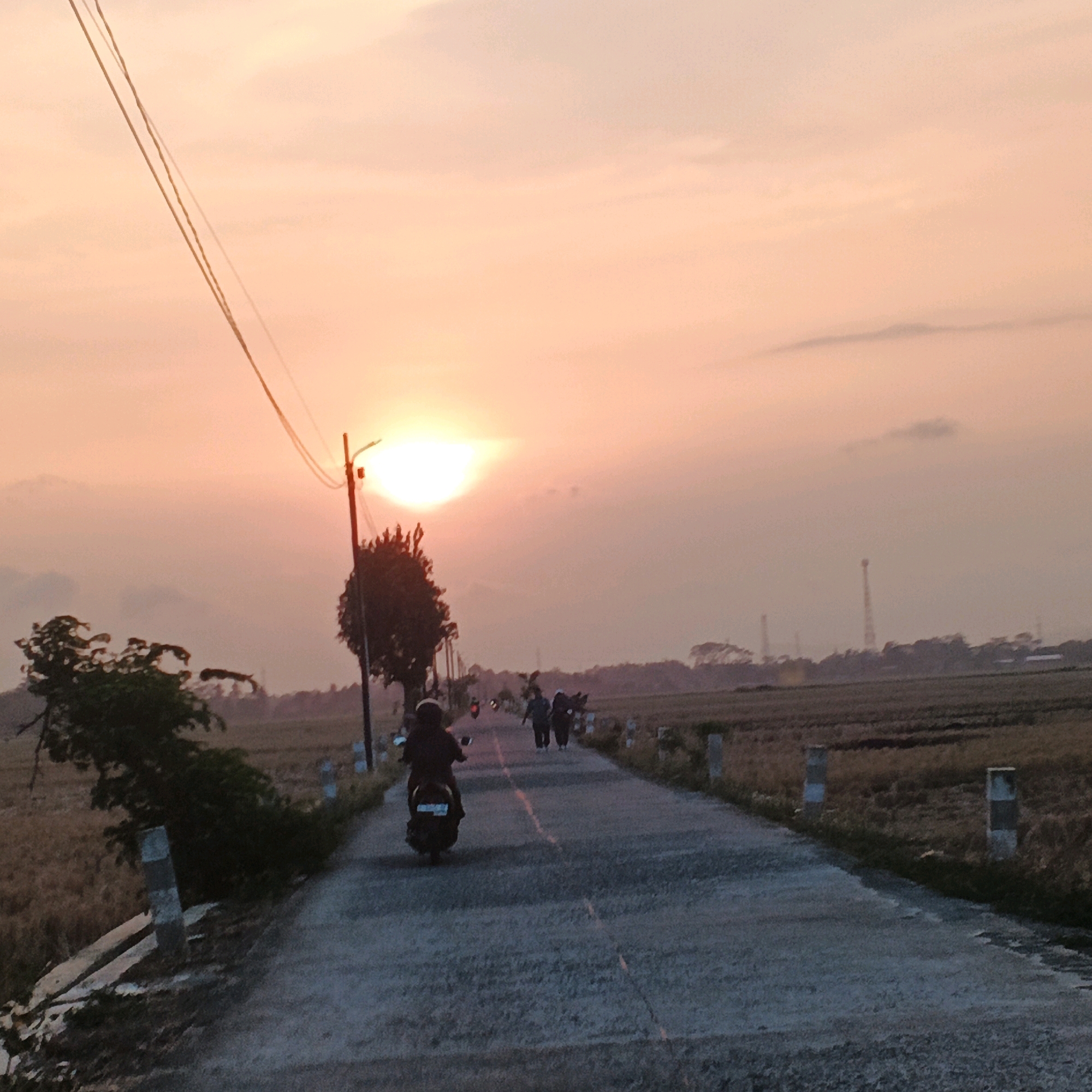 The image depicts a serene sunset scene on a rural road in Kalikudi, Indonesia. The sky is bathed in warm hues of orange and pink, with the sun visible as a bright, diffused disc. A paved road runs through the center of the frame, bordered by dry, harvested fields on either side. In the foreground, a person is riding a motorcycle away from the camera, heading down the road. Further down the road, two individuals are walking, also moving away. A utility pole with electrical wires stands to the left of the road, near a small tree. The scene conveys a sense of tranquility and everyday life in a rural Indonesian setting.
