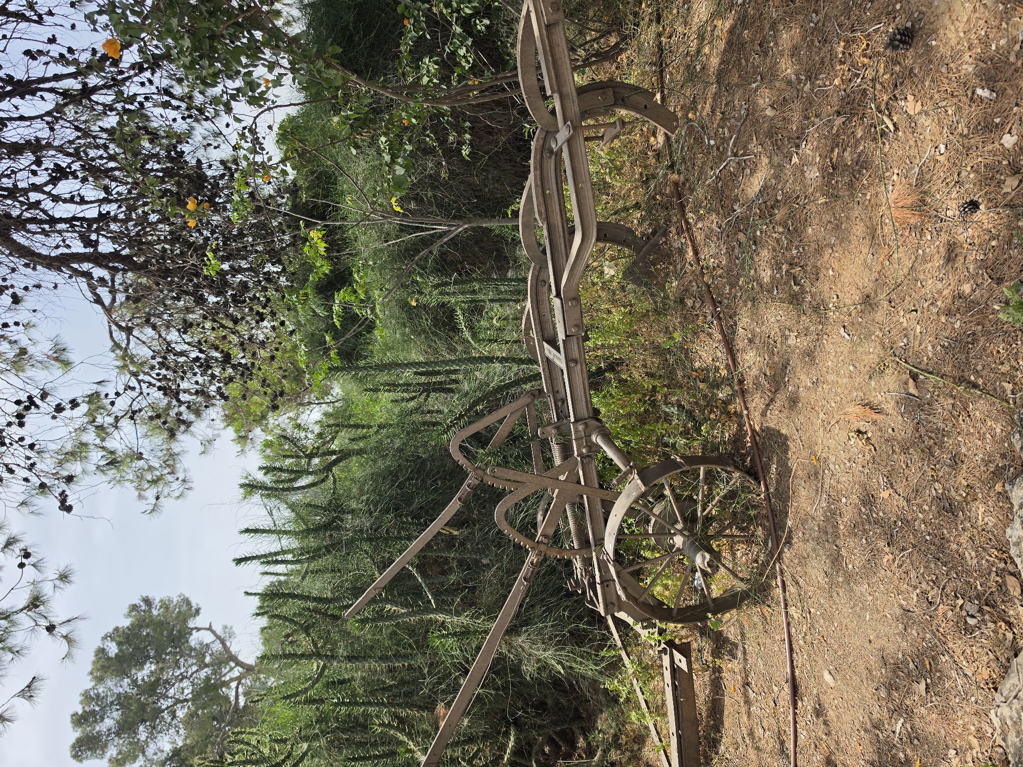 The image shows a vintage, metal farm plow resting in a wooded area. The ground is covered with dry leaves, pine needles, and other organic debris. The plow is heavily rusted and appears to be non-functional. It has two metal wheels, a frame, and tilling components. Various trees and shrubs surround the plow. The location is likely in a rural or semi-rural area within the Mate Yehuda Regional Council, Israel, given the natural environment. No people, actions, or interactions are visible in the image.
