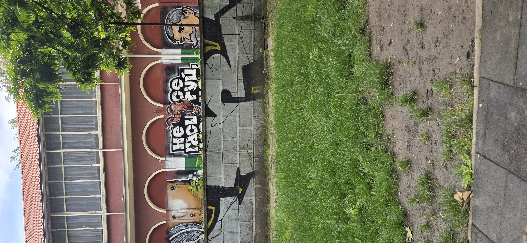 The image displays an outdoor urban scene, primarily featuring a building wall covered in graffiti, a paved area, a strip of grass, and another paved surface, viewed as if upright. A tree with lush green foliage partially frames the top left of the scene.
The building on the left has a reddish-brown wall with several decorative arched or circular elements in a lighter cream color. A red-tiled roof is visible at the top, and a large window section with multiple panes, covered by white curtains, is present below the tree.
The wall is extensively covered with graffiti. Towards the top, a stylized portrait of a man with a prominent mustache and a distinguished appearance is visible. Below this, bold, white, bubble-letter graffiti reads "He FUL," likely part of a larger word such as "POWERFUL" or "PEACEFUL." Adjacent to the text, there's an image depicting a flaming torch or a similar fiery element. Further down, another partially visible head with dark hair or a helmet can be seen.
The graffiti extends from the wall onto the adjacent grey paved pathway, which is composed of rectangular blocks. On this path, abstract black shapes with yellow accents, some resembling figures or shadows, are painted, along with fine, irregular black lines.
Beyond the paved path, a strip of vibrant green grass runs horizontally across the image. To the right of the grass, the ground consists of damp, exposed soil with sparse patches of grass and some small debris. The scene is bordered on the far right by another grey paved surface, possibly a wider sidewalk or road, distinguished by diagonal lines etched into the slabs.
The scene takes place during the daytime, and the damp appearance of the ground suggests recent rain or dew. There are no people visible, and no specific activity is occurring. The location is Plovdiv, Bulgaria.