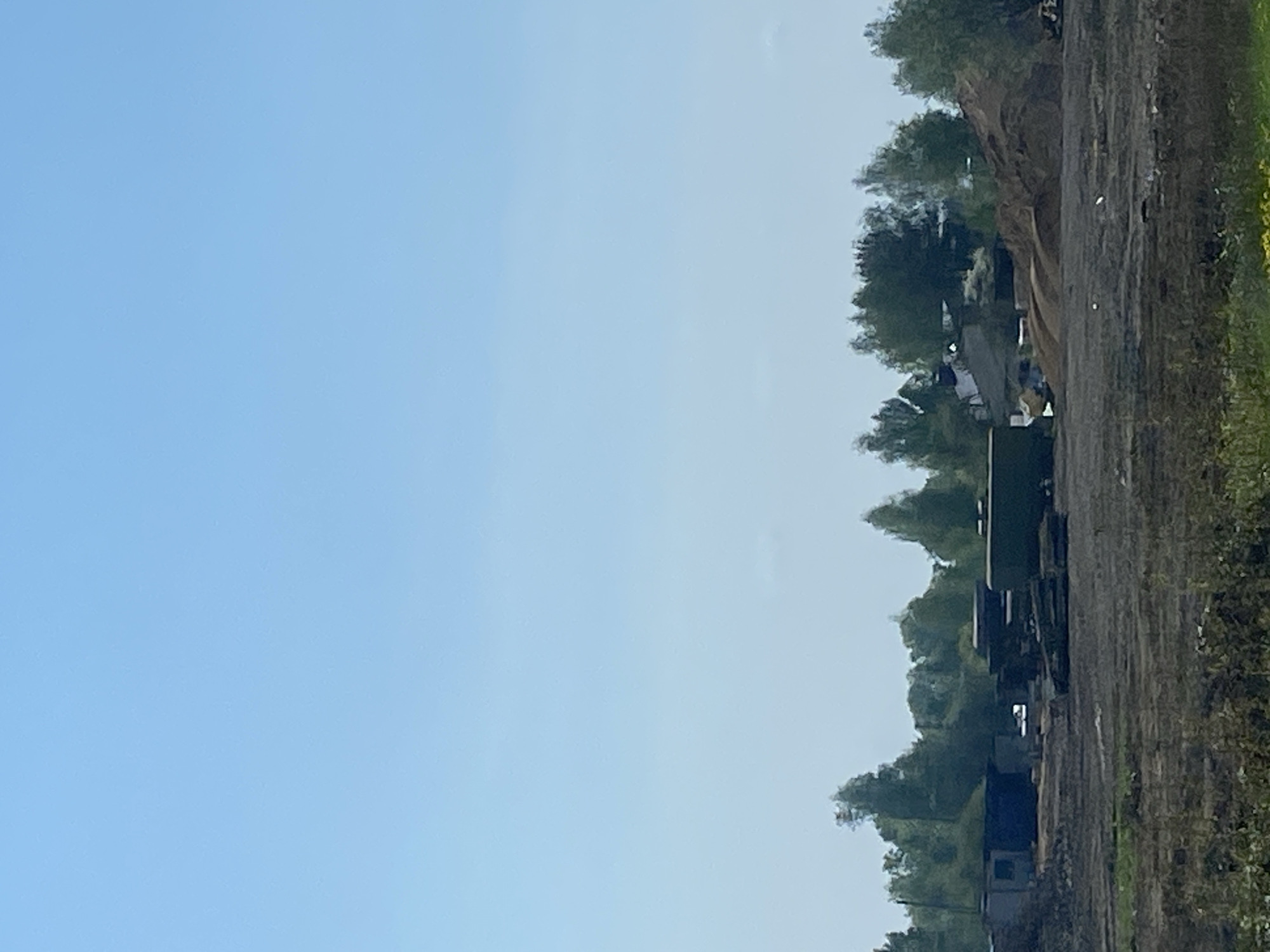 A landscape photograph depicts a clear, light blue sky dominating the left side of the frame. The right side shows a stretch of land with a cluster of trees along its edge. The ground appears to be a mix of dirt and vegetation. There are buildings located in Ново-Никольское, Russia.