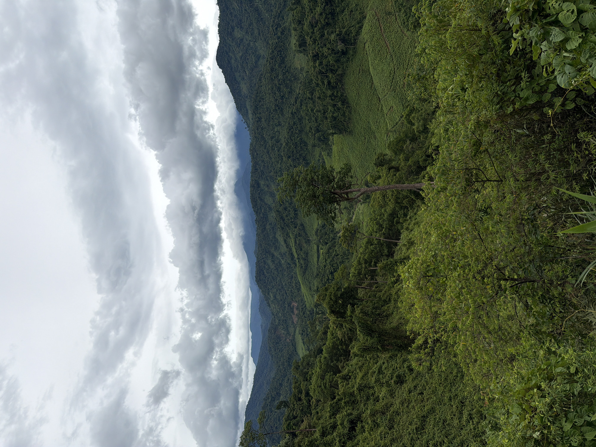 The image depicts a lush, mountainous landscape under a cloudy sky. The terrain is heavily forested with rolling hills and valleys. In the foreground, dense green foliage and trees dominate the view. The middle ground reveals terraced fields, suggesting agricultural activity, likely tea plantations given the region's known produce. The background features layers of mountains fading into the distance, with mist or clouds obscuring the highest peaks. The sky is overcast with heavy, gray clouds, indicating a possibility of rain or a generally diffused light. There are no people or man-made structures visible in the immediate scene, with the exception of the agricultural terraces, suggesting a remote and natural environment. The scene is typical of the highlands in Trường Sơn Commune, Vietnam, known for its verdant scenery and tea cultivation.