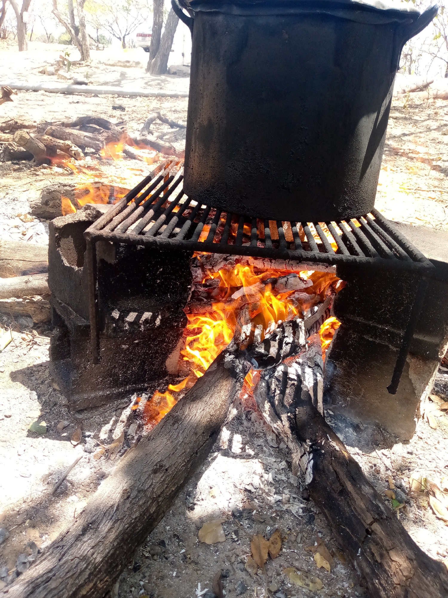 The image depicts an outdoor cooking scene set in a dry, sunny environment, identified as Las Guevaras, Venezuela. A large, black, heavily sooted pot with handles is prominently positioned in the foreground, resting on a sturdy, black metal grate. This grate forms the top of an improvised fire pit, constructed from what appears to be dark, worn cinder blocks or stones.
Beneath the grate, a wood fire actively burns, displaying vivid orange and yellow flames engulfing logs and producing glowing embers. Additional logs are placed around and underneath the fire pit structure, ready to be added to the fire. The ground immediately surrounding the cooking area is dry, light-colored earth, strewn with ash, small stones, and dried leaves.
The scene is brightly lit by natural sunlight, casting distinct shadows from the pot and fire pit structure onto the ground, indicating it is daytime, likely mid-day or afternoon. This strong sunlight also suggests clear weather conditions.
In the background, a sparse landscape features numerous bare tree trunks and branches under a bright sky, suggesting an arid or dry natural setting. A white vehicle is partially visible far in the background, nestled among the trees. No people are visible in the image, and there is no discernible text. The sooty condition of the pot and grate indicates frequent use for outdoor cooking.
