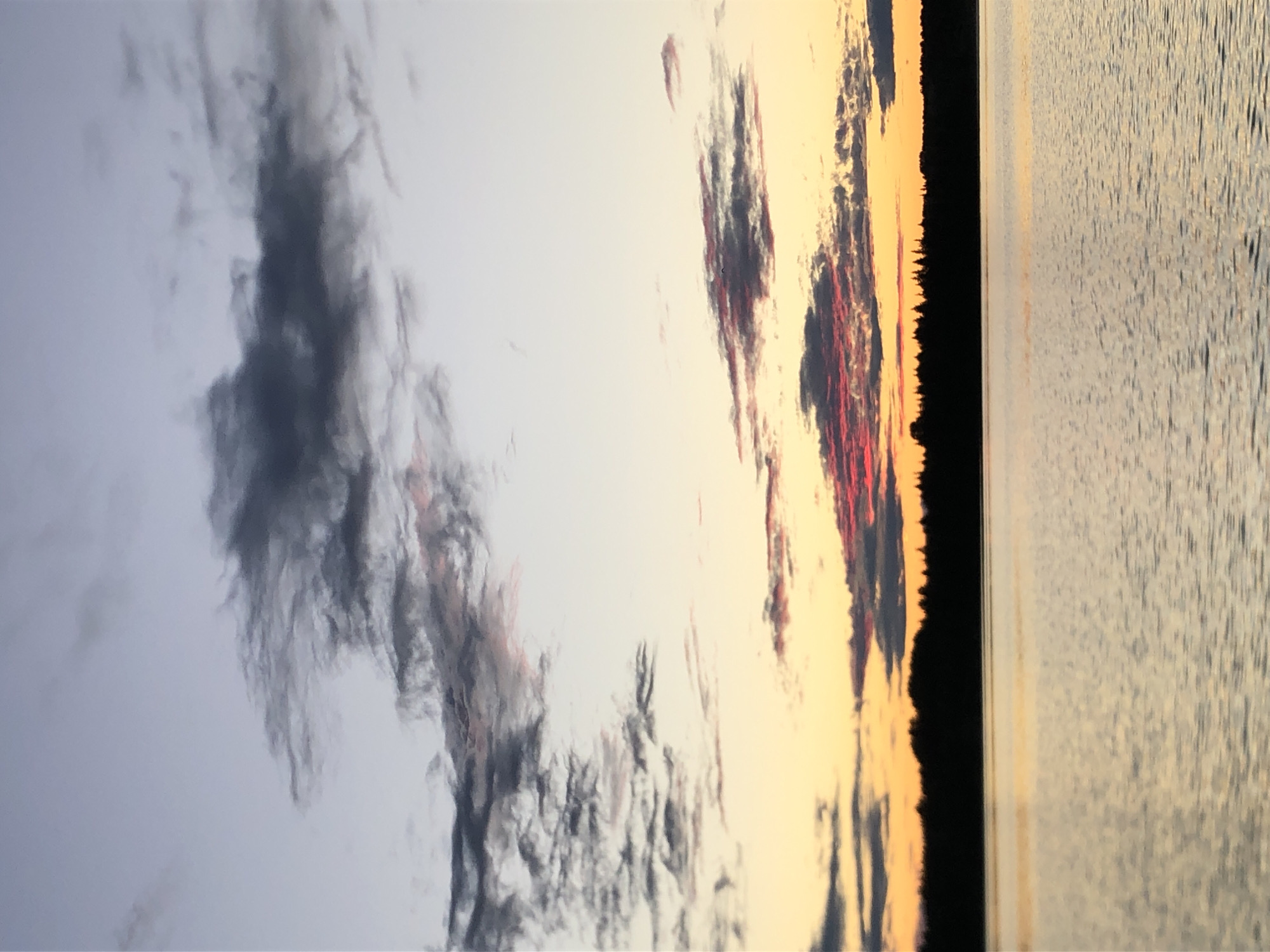 This is a vertical, low-angle, close-up shot of a sunrise or sunset over a body of water, likely a lake or river, in Svirstroy, Russia. The sky is filled with dramatic clouds, painted in hues of gray, pink, and orange, suggesting a vibrant and active atmosphere. The clouds are textured and appear to be moving or forming, adding a sense of dynamism to the scene.
The horizon is marked by a sharp, dark silhouette of trees, creating a distinct line between the sky and the land. To the right of this silhouette, a vast expanse of water stretches out, reflecting the sky's colors. The water's surface is rippled, creating a textured pattern of light and shadow, indicative of a gentle breeze or current. The overall mood is serene and awe-inspiring, capturing the beauty of a natural phenomenon. The time of day is clearly either dawn or dusk, based on the low angle of the sun and the colors in the sky. There is no visible text in the image. The focus is on the interplay of light, color, and texture in the natural landscape.