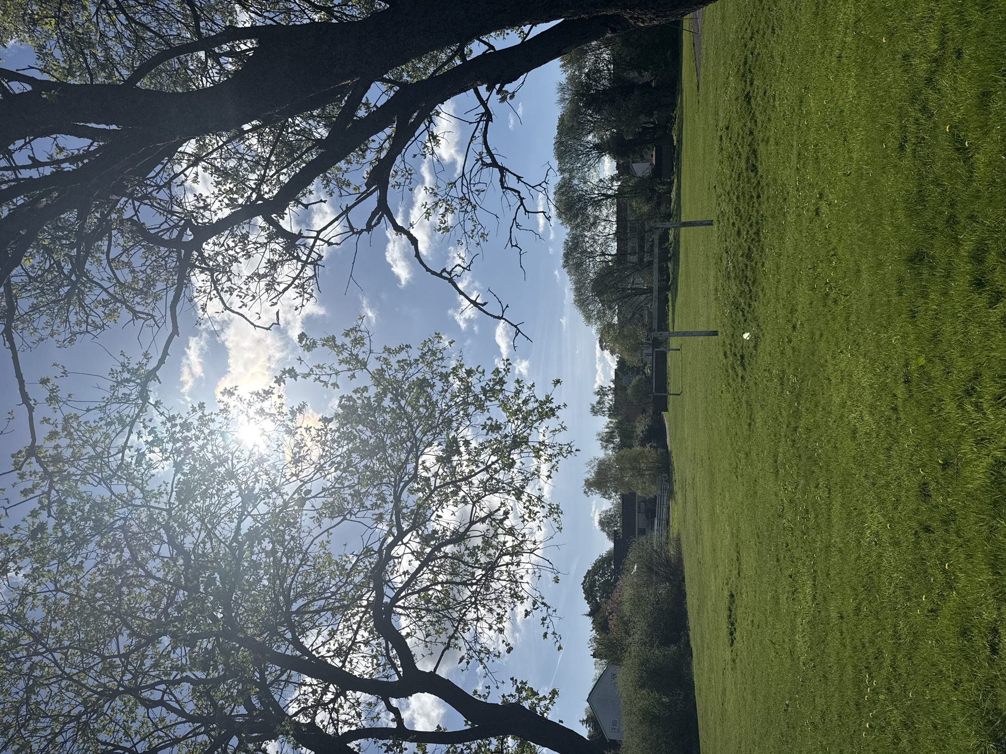 The image shows a landscape view on a sunny day with patchy clouds in the sky. The perspective is from ground level, looking up through the branches of trees on the left and top of the frame. The sun shines brightly through the tree foliage. To the right is a wide, green grassy field. In the background, there are trees and buildings. There is an old goal post towards the middle of the grassy field. The location appears to be in a park or open space within the city. The city is unknown.