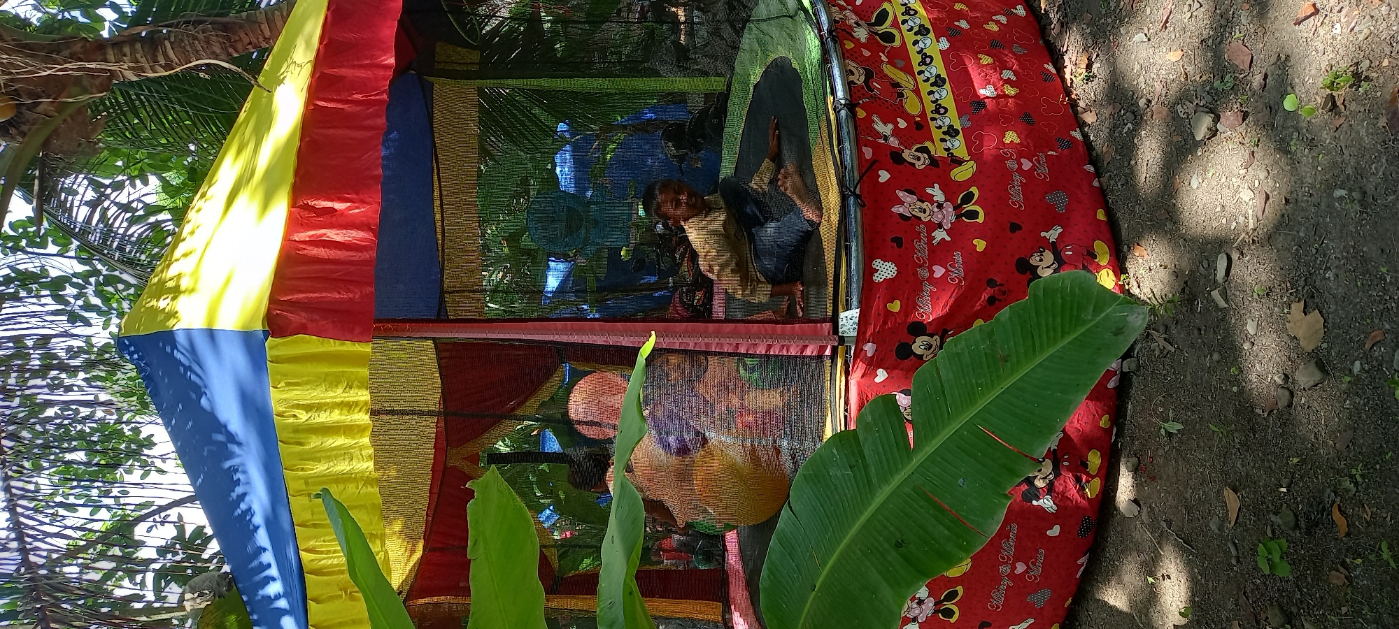 In Sukahurip, Indonesia, a colorful, multi-colored tent structure, likely a playhouse or trampoline enclosure, stands outdoors amidst lush greenery and foliage. The tent has a conical roof with sections of blue, yellow, and red fabric, and translucent netting sides. Inside, a young boy in a light-colored shirt and dark pants is seated on a trampoline. The red fabric skirting around the base of the trampoline is decorated with a repeating pattern of Mickey Mouse and Minnie Mouse characters. Large green leaves from nearby plants partially obscure the view. The ground beneath the structure is dirt and small stones, with dappled sunlight filtering through the leaves overhead.