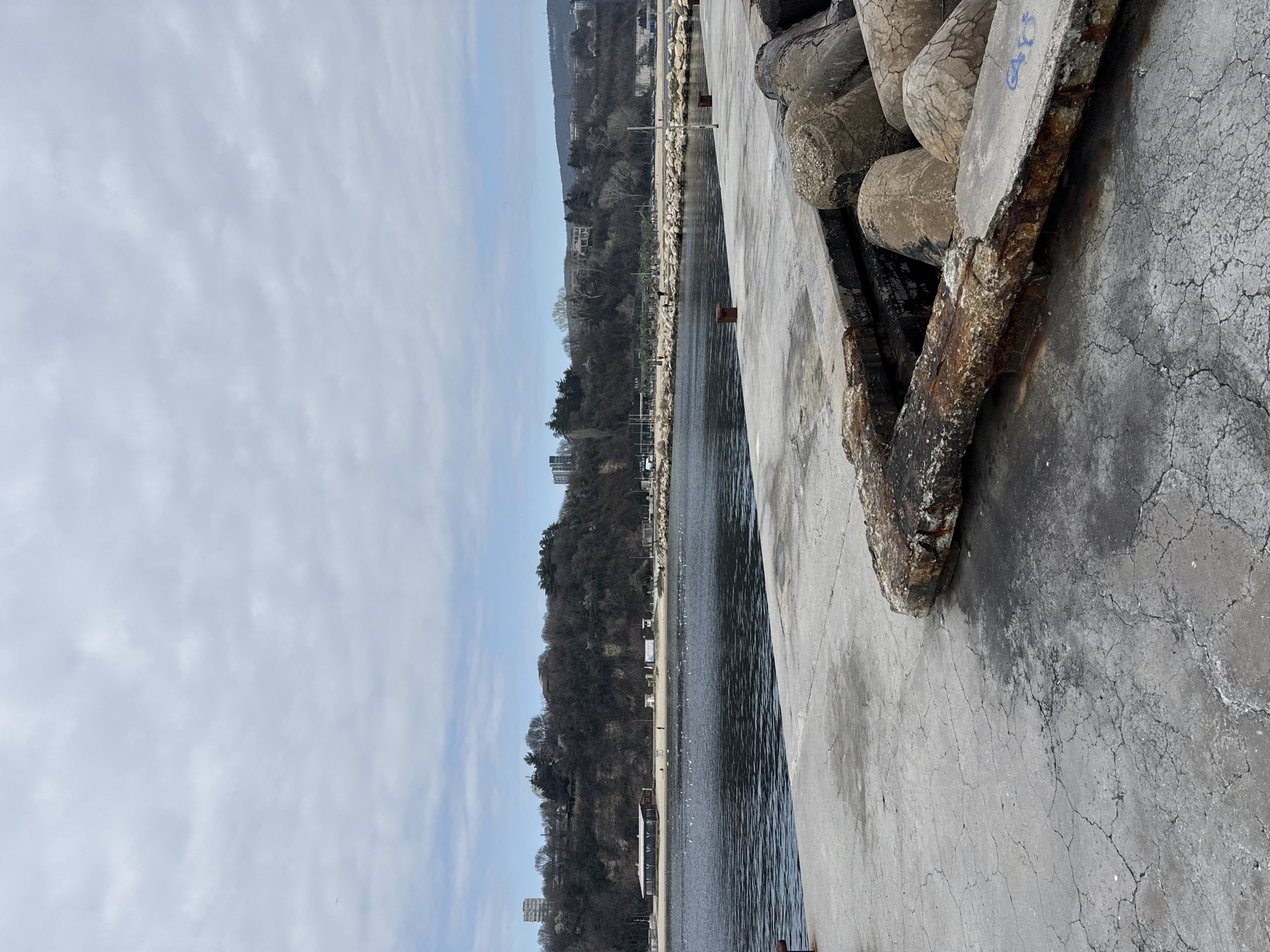 The image depicts a section of a concrete pier or breakwater along the coast of Varna, Bulgaria. The pier is gray and cracked, showing signs of age and weathering. Tetrapods, concrete structures used for coastal defense, are stacked along the edge of the pier facing the sea. The sea itself is visible, with gentle ripples on the surface. In the background, there is a tree-covered coastline with some buildings interspersed among the trees. The sky is overcast with a mix of light and dark clouds. There is no visible human presence in the immediate foreground, but the coastline in the background may contain people, especially closer to the beach. A rusty, corroded structure, possibly metal, is visible on the pier's edge.