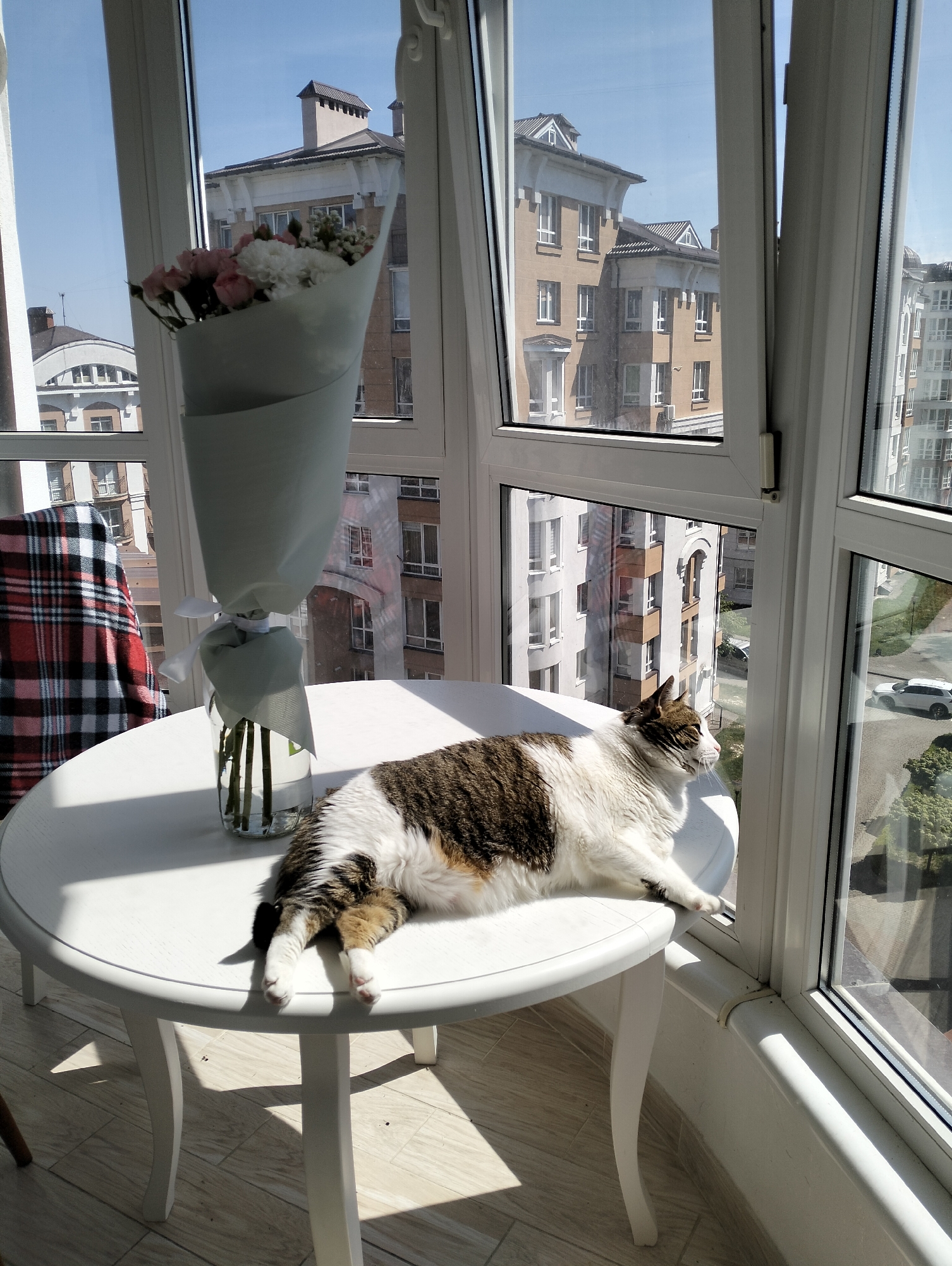 A medium-shot photograph taken in Krykhivtsi, Ukraine shows a cat lounging on a white, round table next to a window. A vase filled with flowers sits on the table to the left of the cat. Outside the window are multi-story buildings. The cat is primarily white with brown and black patches, and it is facing toward the window. Part of a plaid blanket-covered chair is visible on the left side of the frame. The day appears sunny.
