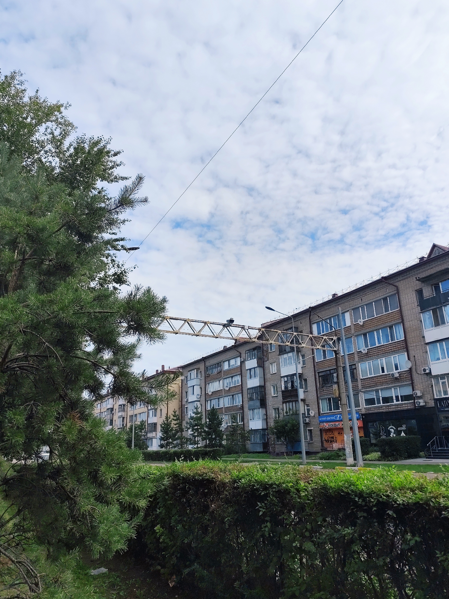 The image shows a street view in the city of Petropavl, Kazakhstan. In the foreground, there is a large pine tree with green needles on the left side of the frame. Behind the tree, a neatly trimmed green hedge runs horizontally across the lower portion of the image. Beyond the hedge, a row of apartment buildings lines the street. The buildings are multi-story structures with brick facades and numerous windows. Some of the windows have balconies. There are shops on the ground floor of the buildings, including one with a sign that appears to be in Cyrillic and has logos resembling a car and a woman. Overhead, power lines are visible, crossing the frame against a cloudy blue sky. A street lamp is also present above the buildings. The overall scene depicts an urban environment with residential and commercial buildings, natural elements like trees and hedges, and infrastructure like power lines and street lights.