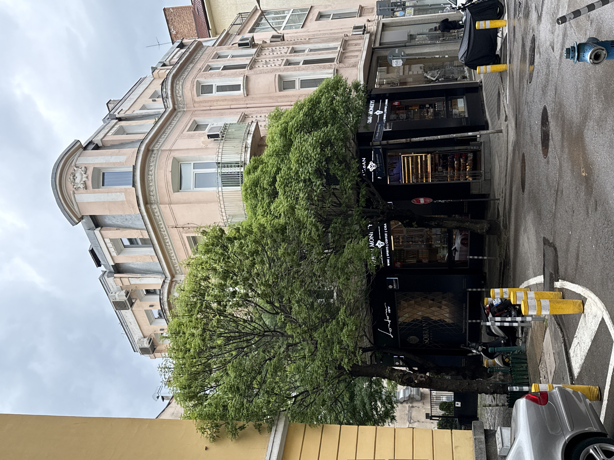 The image shows a street scene in Sofia, Bulgaria. A pink building with decorative elements and balconies stands on the left side of the frame. A large tree with green foliage obscures parts of the building and street. On the right side, there are commercial establishments with black facades, including "London Sobranie" and "Ban Monkeys," which appear to be wine, spirits, coffee, and cigar shops. A motorcycle is parked near yellow bollards and a marked pedestrian area. Part of a gray car is visible at the bottom right. The sky is overcast. The street is wet, suggesting recent rain.