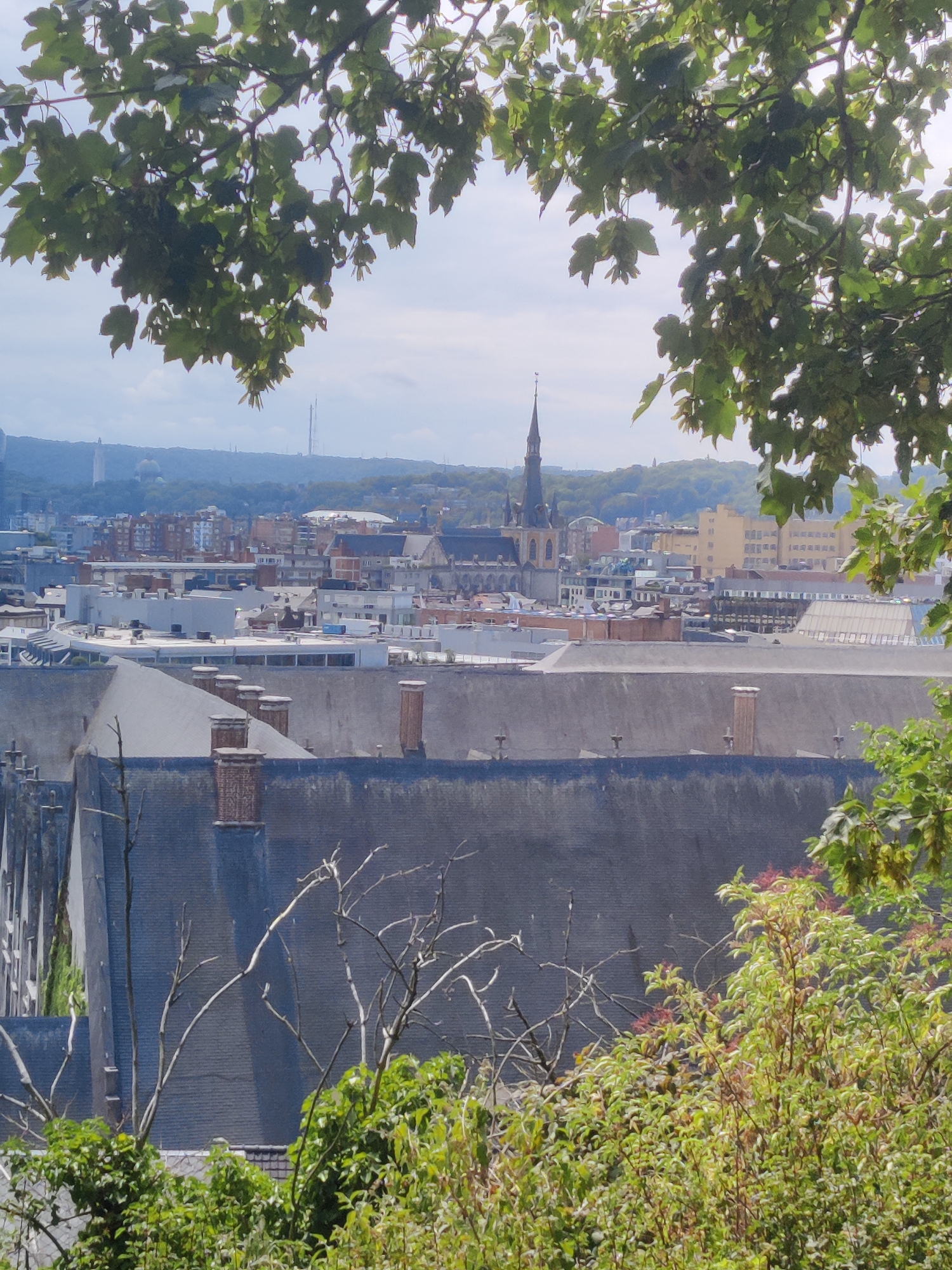 The image is a vertical, slightly hazy view of the city of Liège, Belgium, taken from an elevated position looking down and across the urban landscape. The foreground is dominated by the dark gray, sloping rooftops of several large buildings, punctuated by brick chimneys. Some of these rooftops are visible in sharp detail, suggesting a closer proximity to the viewpoint, while others are more blurred. Green foliage, including tree branches with leaves and smaller leafy shrubs, frames the top and bottom edges of the image, indicating the vantage point is likely from a park or garden.
Beyond the immediate foreground buildings, the city sprawls into the mid-ground. Numerous structures of varying heights and architectural styles are visible, characterized by a mix of brick, concrete, and glass facades. A prominent church with a tall, dark spire rises from the center-right of the mid-ground, a key landmark in the Liège skyline. The background shows rolling, tree-covered hills and a hazy sky, suggesting a partly cloudy day. Distant structures, including what appears to be a tall tower or antenna, are faintly visible against the hills. The overall impression is of a densely populated urban area nestled within a natural landscape. No people are visible in the image.