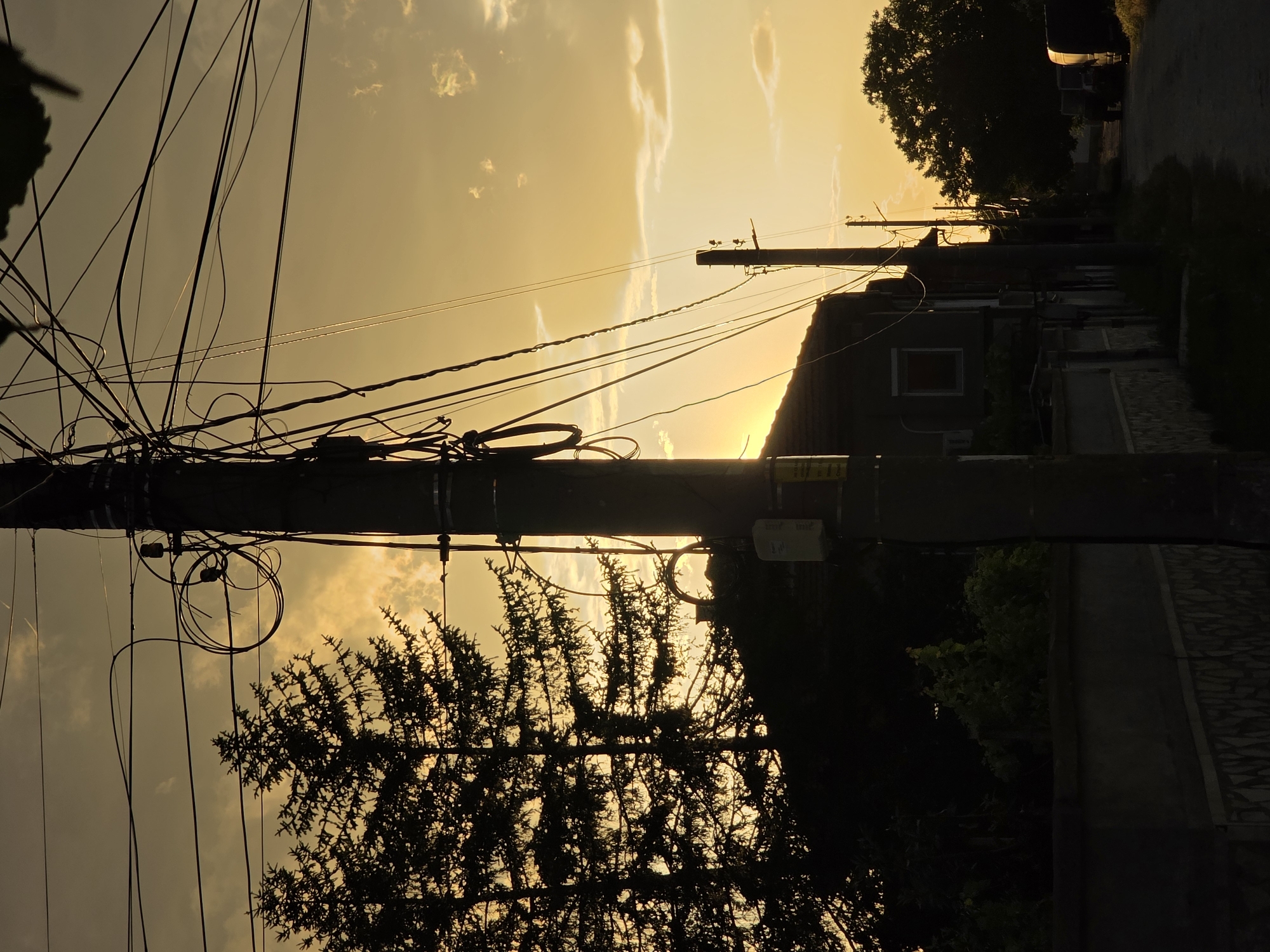 The image depicts a street in Yagodovo, Bulgaria, at sunset. A utility pole densely laden with wires dominates the foreground. Behind the pole, a silhouette of a coniferous tree is visible against the bright, yellow-tinged sky. The street stretches into the distance, lined with houses and trees. The houses appear dark due to the backlighting, and a vehicle is parked further down the road. The lighting suggests a low sun angle, casting long shadows and creating a contrast between light and dark areas.