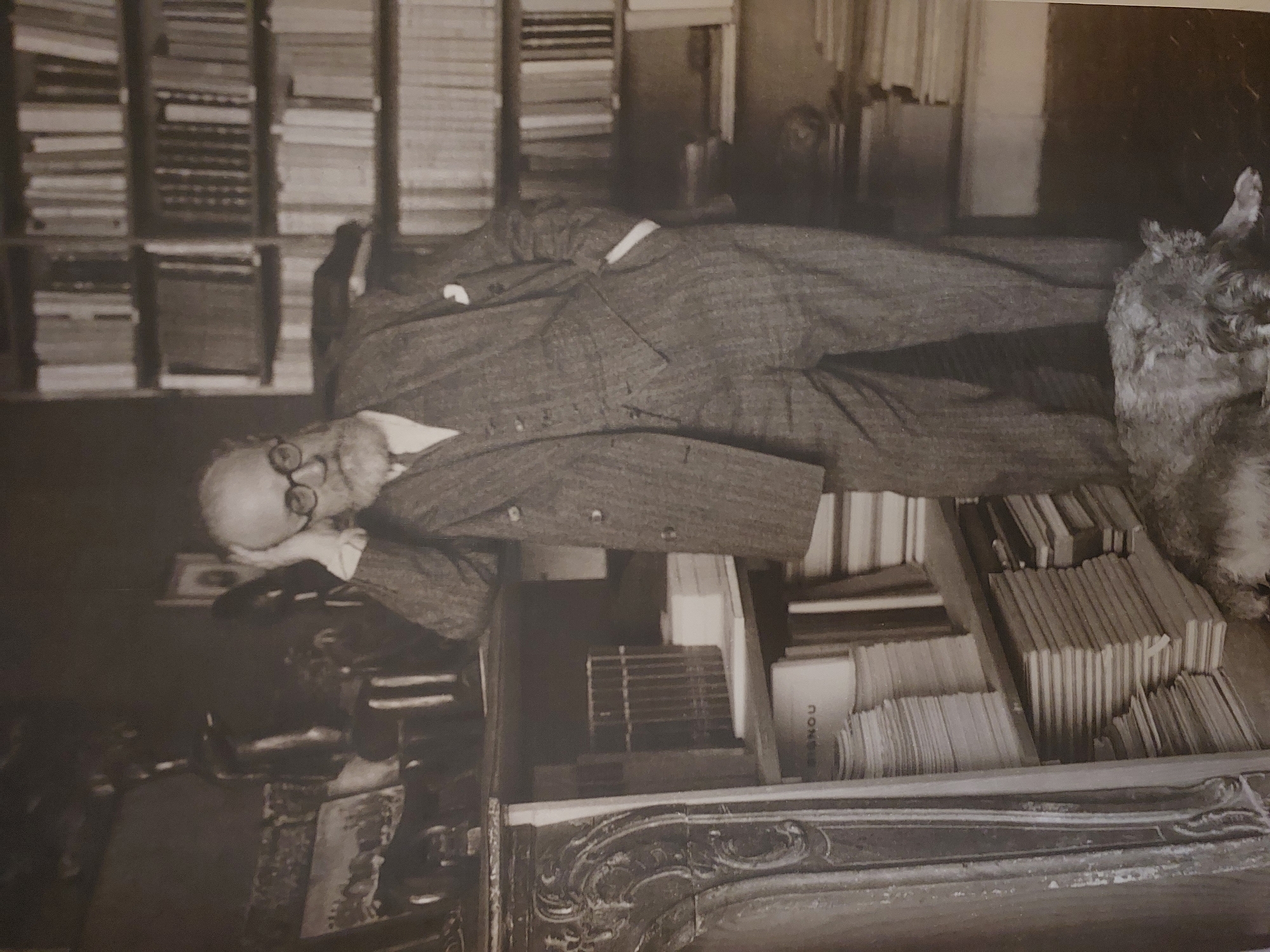 A black and white, eye-level, medium shot photograph depicts an elderly man with a beard and glasses, wearing a tweed suit, standing with his hand on his head and his left arm in his pocket. He is positioned in front of a large bookshelf filled with books. To his left is a wooden shelf with more books, and to the far left is an ornate, carved piece of furniture. A dog is lying on the floor in front of the man. The scene appears to be a study or library, possibly located in Nice, France.