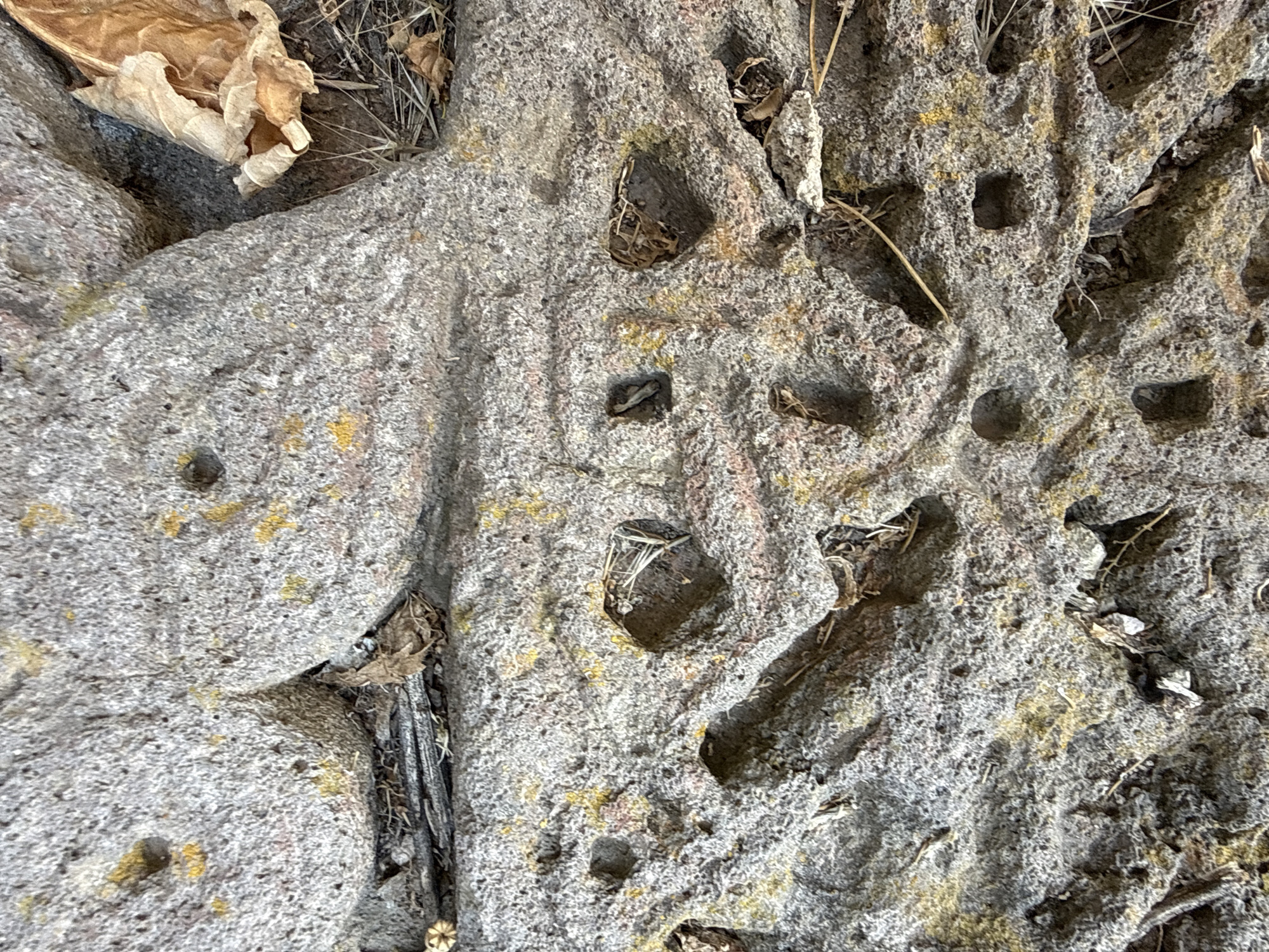 The image depicts a close-up view of weathered stone, likely part of an ancient structure or natural rock formation. The stone is rough and textured, with visible pores and imperfections. There are several indentations and holes scattered across the surface, some appearing natural while others may have been carved. Small pieces of dried leaves and twigs are lodged in some of the crevices. Patches of yellow and reddish-brown discoloration are present on the stone, possibly from lichen or mineral deposits. The lighting suggests an outdoor setting, casting shadows that highlight the unevenness of the surface. The image does not contain any people or discernible actions. The setting is described as the city of Goght, Armenia, implying this stone is located within that geographical area, potentially at a historical site or archaeological find.