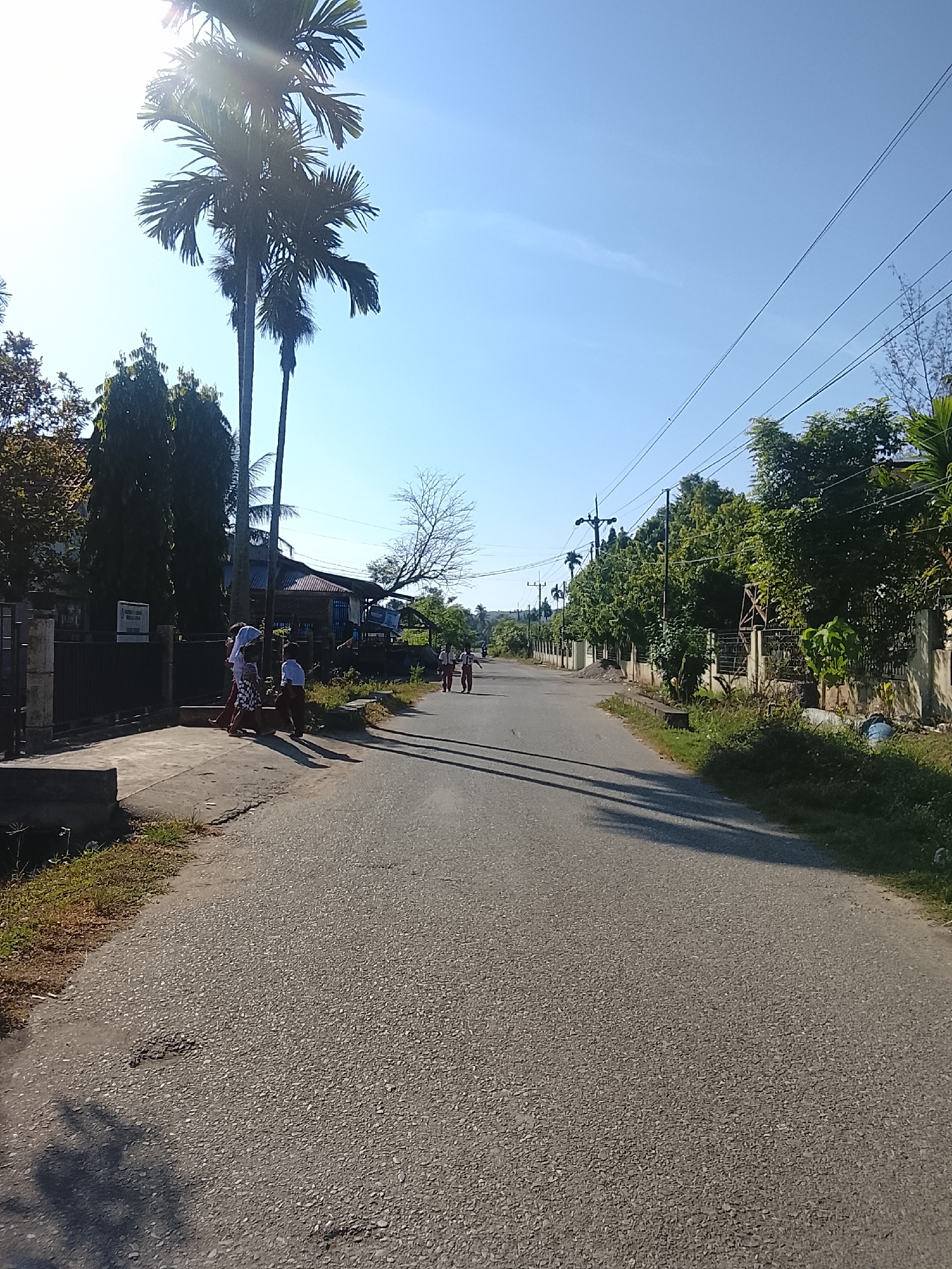 In Pohroh, Indonesia, a paved road stretches into the distance under a clear blue sky. Tall palm trees and dense foliage line the left side of the road, casting shadows on the asphalt. A group of children, dressed in school uniforms, walk along the sidewalk near a fence. Further down the road, more children can be seen walking in the same direction. The scene suggests a typical day in a residential or semi-rural area, with the children likely on their way to or from school. The environment is characterized by its tropical vegetation and the presence of overhead power lines, common in many Indonesian cities.