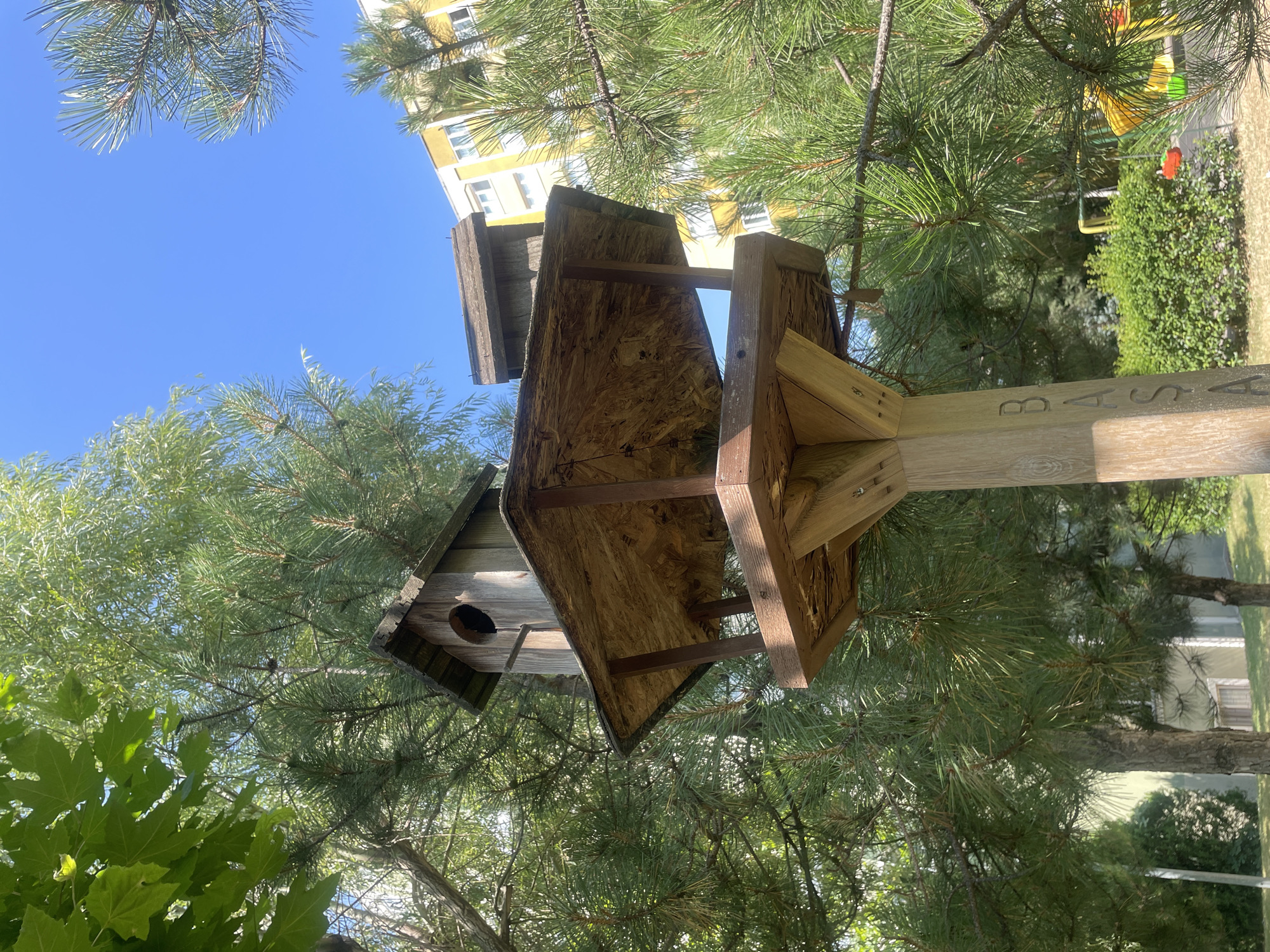 A low-angle, eye-level shot captures a wooden birdhouse mounted on a wooden post amidst a backdrop of lush green trees and a clear blue sky. The birdhouse, constructed from weathered wood, features a small circular entrance and a wide, flat roof made of plywood. Two smaller birdhouses are visible behind the main one, also constructed of wood. The wooden post supporting the birdhouse has carved letters that appear to spell "BAŞAK." The scene is set in Başakşehir, a district in Istanbul, Turkey, indicated by the presence of the birdhouse with the carved name. In the background, a tall yellow building with white-framed windows stands, suggesting an urban environment. Pine trees with their characteristic needles and some broad-leafed trees surround the birdhouse. The overall atmosphere is one of an outdoor, possibly park-like setting within a city. There are no people or animals visible in the image.