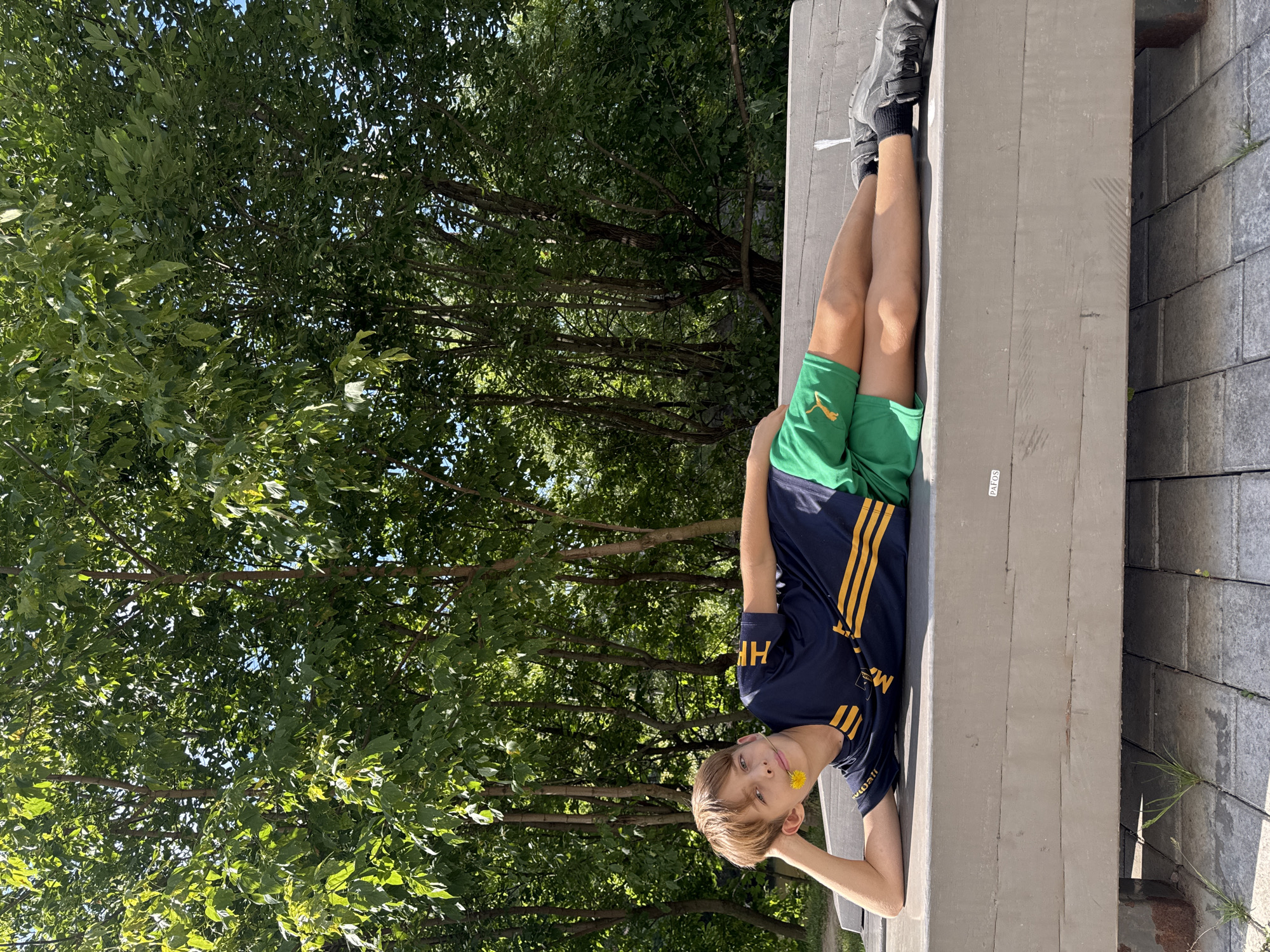 A young boy with light brown hair lies on his side on a horizontal wooden beam. He is wearing a dark blue t-shirt with yellow stripes on the sleeves and a logo on the left side of the chest. He is also wearing green shorts with a yellow logo on the left leg. A yellow dandelion flower is held in his mouth. The boy is resting his head on his left hand, with his elbow bent. His legs are crossed at the knees. The wooden beam is on top of other similar beams, which are laid out like paving stones. Behind the boy is a dense background of green trees with sunlight filtering through the leaves. The sky is visible in small patches through the foliage. A white sticker with the word "PACOS" is attached to the wooden beam. The scene is outdoors.