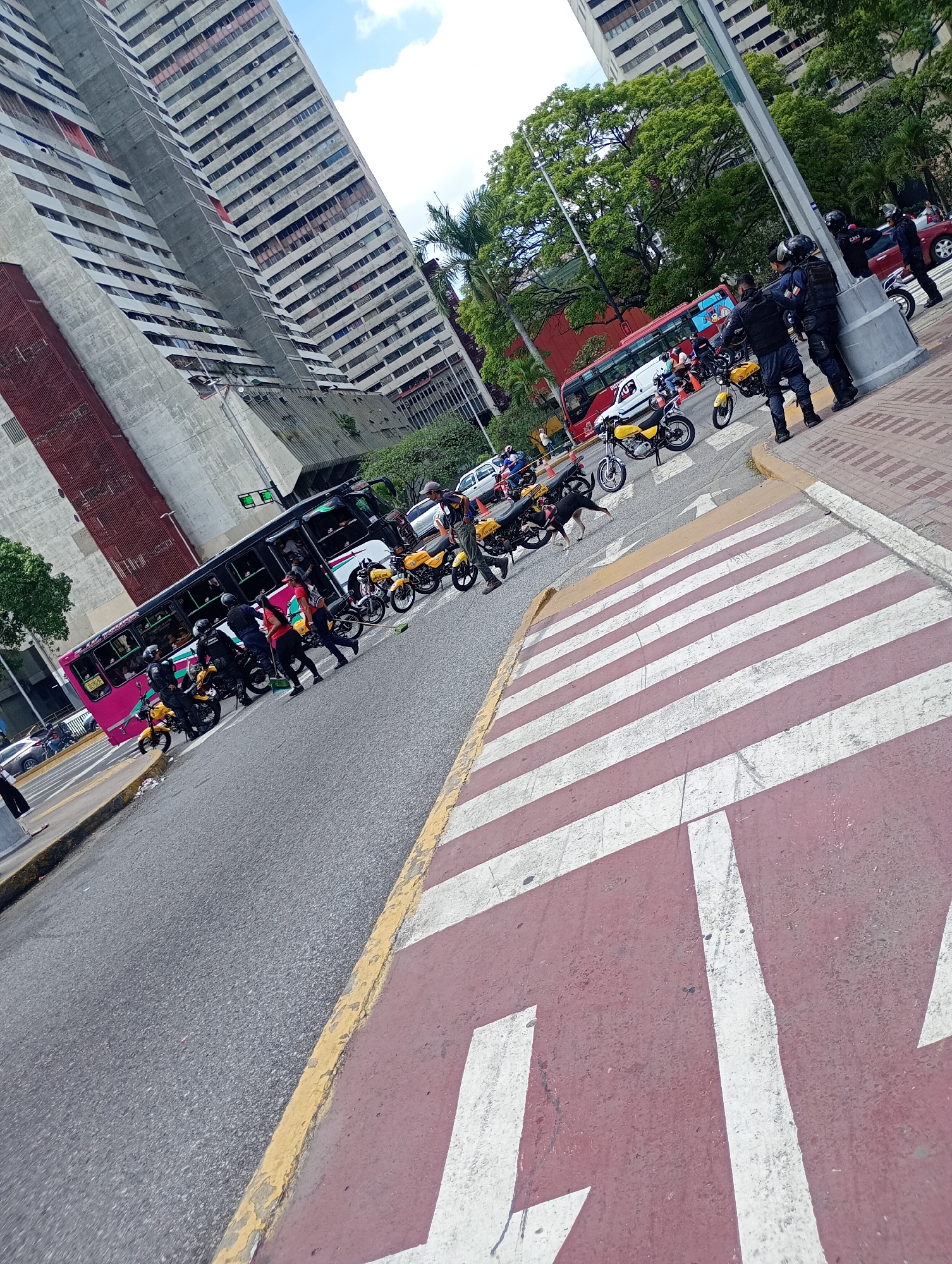 This media file depicts an active urban street scene in Caracas, Venezuela, under bright daylight with a clear sky. The image is captured from a tilted perspective, looking down a wide street flanked by tall, multi-story concrete buildings with numerous windows and balconies, characteristic of high-density urban residential or commercial areas. These buildings show signs of wear, with some discolored sections and exposed concrete.
In the foreground, a prominent red and white striped crosswalk is visible on the asphalt road, marked with large, faded white letters that are difficult to fully decipher due to the angle and wear, though parts resemble "T" and "N." A yellow curb separates the road from the sidewalk.
The central activity revolves around a gathering of individuals, many of whom appear to be police or security personnel. They wear dark uniforms, helmets, and vests, and are positioned near a collection of bright yellow motorcycles, some of which bear the partially visible text "POLI." A black dog is seen walking near these motorcycles. Further down the street, a pink and white public bus is stopped, with people, including some uniformed personnel, standing around its entrance. In the background, another red bus and other cars are visible, indicating active traffic. Green trees line the streets, providing a natural element against the concrete architecture. The scene suggests a routine public security presence, a traffic checkpoint, or a gathering point for security forces in a busy city environment.