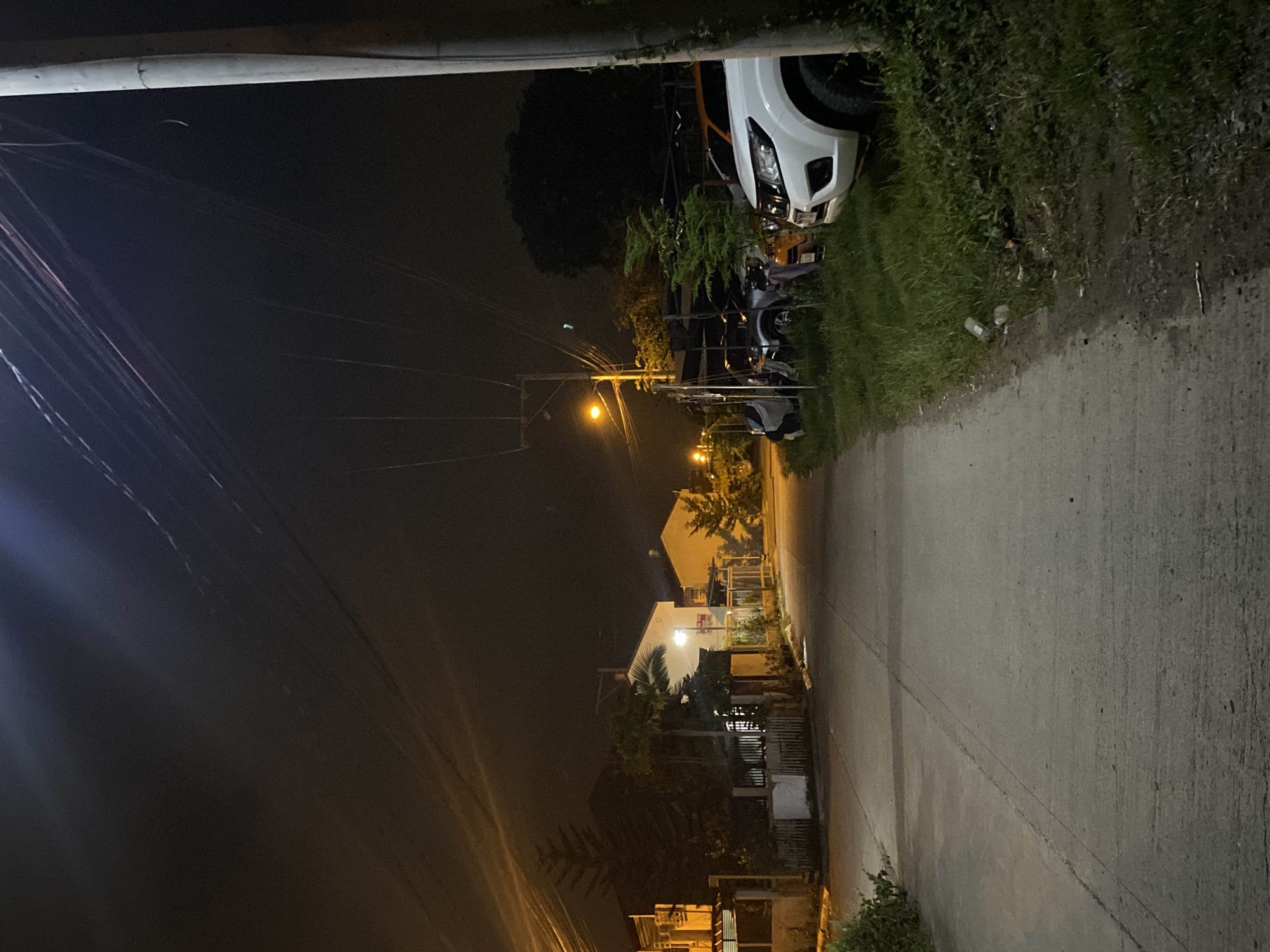 The image captures a nighttime scene of a quiet residential street or path in Davao City, Philippines. The time of day is clearly night, indicated by the dark sky and the reliance on artificial lighting from streetlights and illuminated houses.
The concrete road or path occupies the lower and central portion of the frame, appearing mostly empty. To the right of the road, there is a grassy verge with some sparse vegetation and a few discarded bottles or litter. Further along this verge, a white pickup truck is parked, with its front bumper and headlight area partially visible. Behind the truck, other vehicles, possibly motorcycles or scooters, are also parked. Beyond these vehicles and the grassy area, a cluster of trees and several residential buildings with lit windows or exterior lights can be seen.
On the left side of the road, numerous utility lines crisscross against the dark sky, attached to utility poles that extend into the distance. A prominent streetlight emits a warm yellow glow, illuminating a section of the road and nearby foliage. In the background on this side, more residential structures are visible, subtly lit.
The overall atmosphere of the scene is calm and quiet, characteristic of a residential area after dark. There are no people visible, and no specific activity or event is taking place. No discernible text is visible on any objects, signs, or buildings within the frame. The details, such as the style of housing, utility infrastructure, and common vehicles, align with the location context of the Philippines.