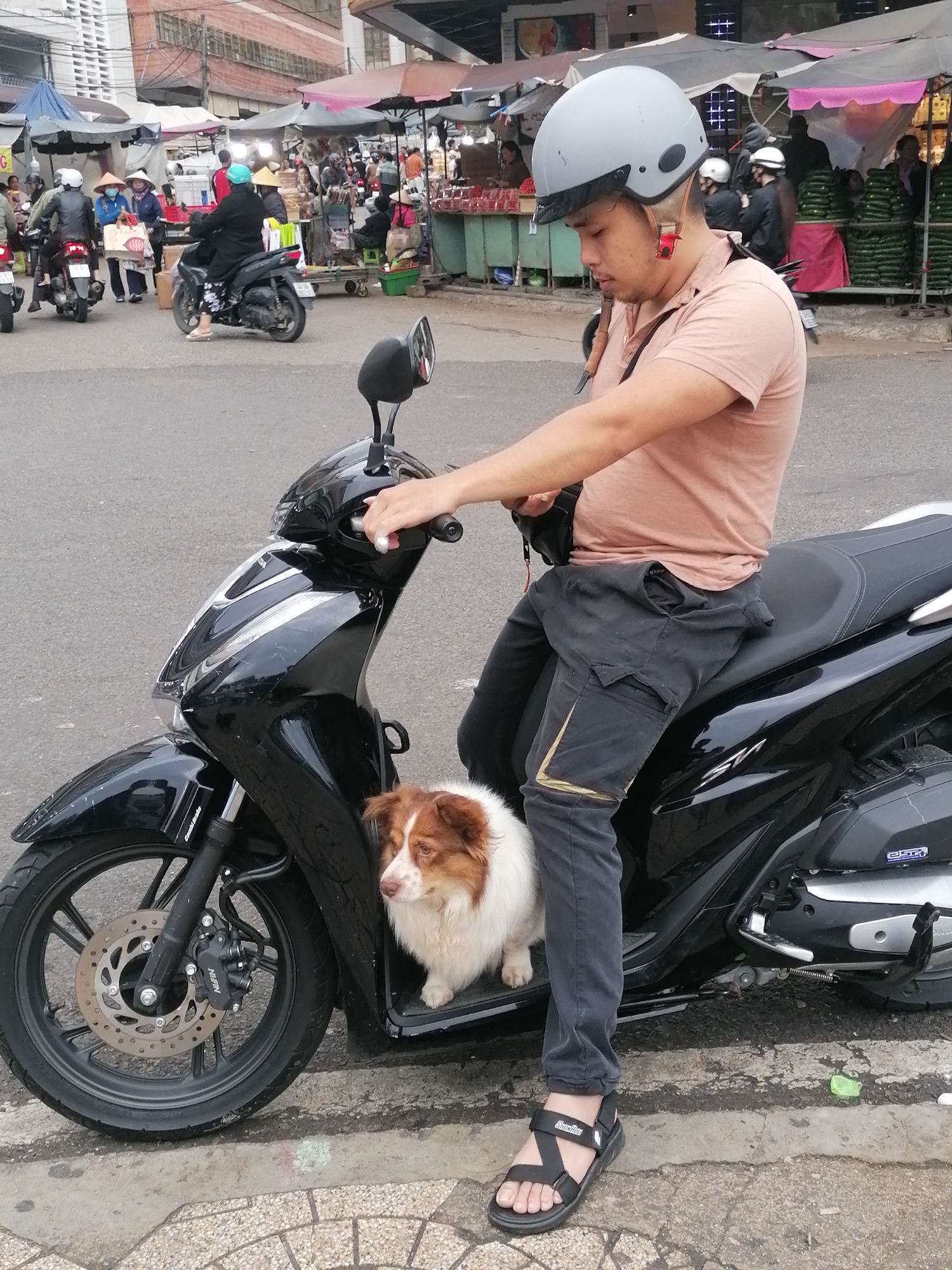 Memory