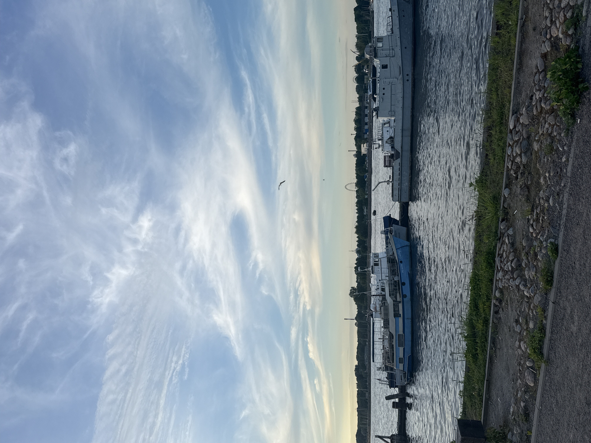 The image displays a tranquil waterfront scene in Saint Petersburg, Russia, under a bright, partly cloudy sky. The sky, occupying the upper half of the frame, is a clear light blue adorned with long, wispy white cirrus clouds stretching across. A single bird, possibly a gull, is captured in flight in the upper mid-left, with another smaller bird further away.
Below the sky, a wide waterway, likely a river or canal, extends into the distance. Its surface is gently rippled, reflecting the ambient light. Along the right bank, several boats are docked. In the immediate foreground on the right, a large, dark grey vessel, possibly a former military or industrial boat, is prominently visible. Further down the waterway to the left, a distinct blue and white boat is docked, featuring the visible text "PL 0200 Cathy" and "PEREGRIN" below it. Other, smaller vessels are indistinctly moored in the distance.
The immediate shoreline on the right features a narrow strip of land composed of scattered grey and brown rocks, patches of green grass, and small plants. This leads to a paved pedestrian path that runs parallel to the water. In the far distance, across the waterway, a tree-lined bank gives way to a hazy horizon where faint outlines of buildings and a large Ferris wheel can be discerned.
The soft, natural light suggests either late afternoon or early evening. The scene conveys a calm and peaceful atmosphere, devoid of human activity.