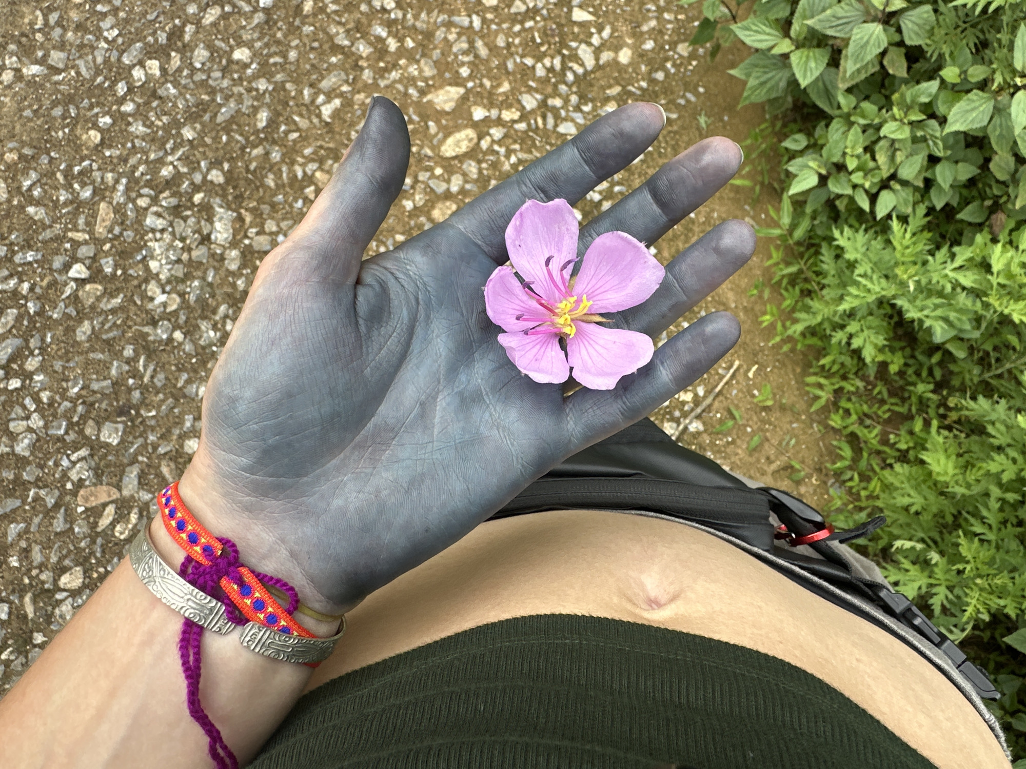 The image shows a person's gray-tinted hand holding a pink flower with yellow and purple accents. The wrist has two bracelets, one silver and one brightly colored with red, orange, and purple. Below the hand, the midriff of the person is visible, with a navel and green clothing. In the background, there is a gravel path to the left and green foliage to the right. A black bag is also visible at the waistline. The location is Ban Ho, Vietnam.