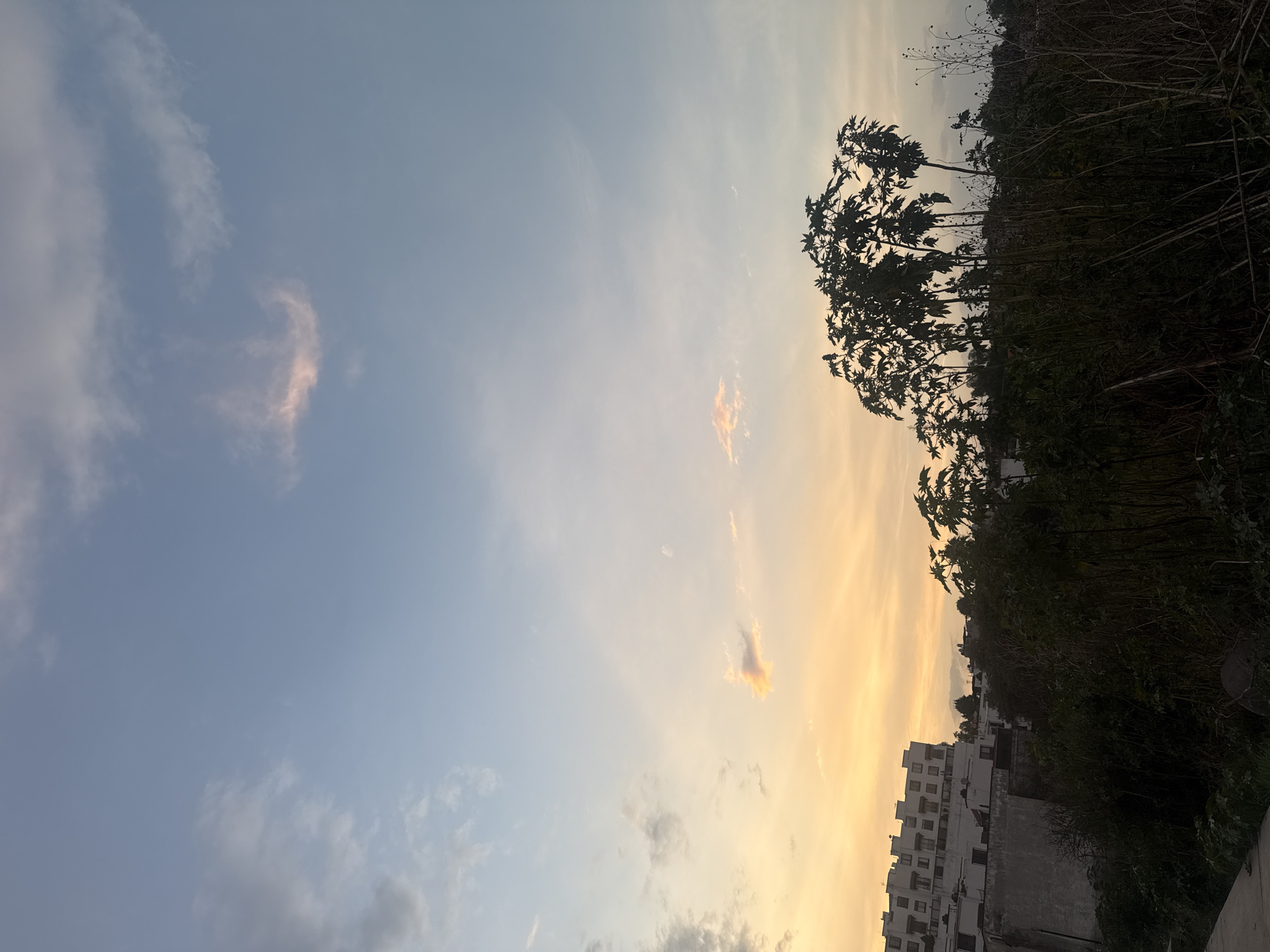 The image captures an urban scene in Mexico City, Mexico, likely taken during the early evening based on the sky's gradient from blue to orange and yellow near the horizon. The sky is sparsely populated with clouds, some tinged with a pinkish hue, indicating the setting sun. Silhouetted against the sky are trees and dense vegetation that appear to be on a hillside or elevated area. In the lower portion of the frame, there is a white building, possibly residential, interspersed with the greenery. The overall composition suggests a view overlooking a part of the city with a natural, vegetated area in proximity to urban development. There are no people visible in the image.