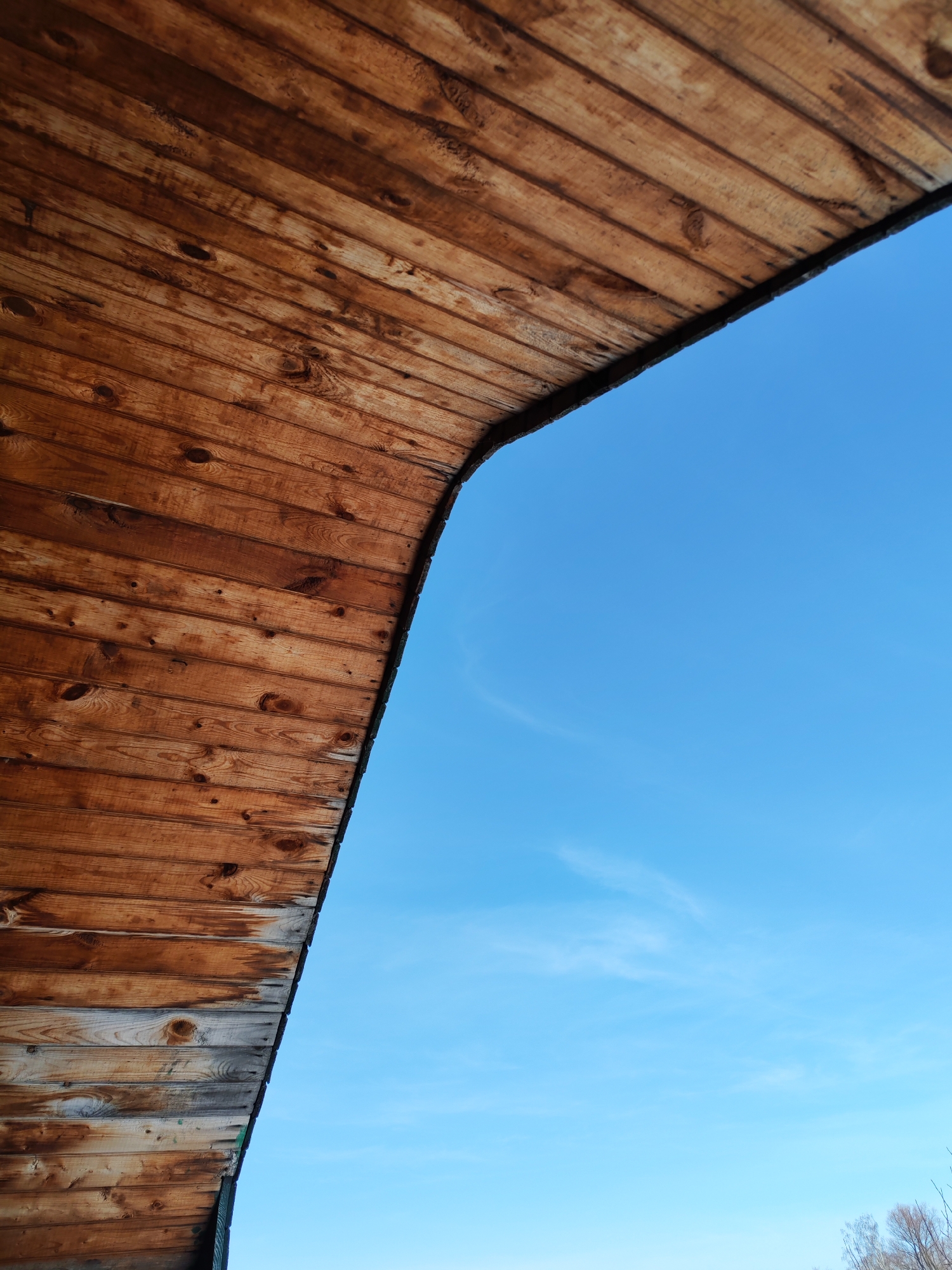 The image shows a low-angle view of a wooden structure meeting a clear blue sky. The structure is made of horizontal wooden planks, stained a dark brown color. The wood shows visible grain and knots. The planks form a curved edge where they meet the sky. The sky is a bright, almost cloudless blue with faint cloud wisps visible. In the lower right corner, bare tree branches are barely visible, hinting at a winter or early spring setting. The location is Chaikovsky, Russia.
