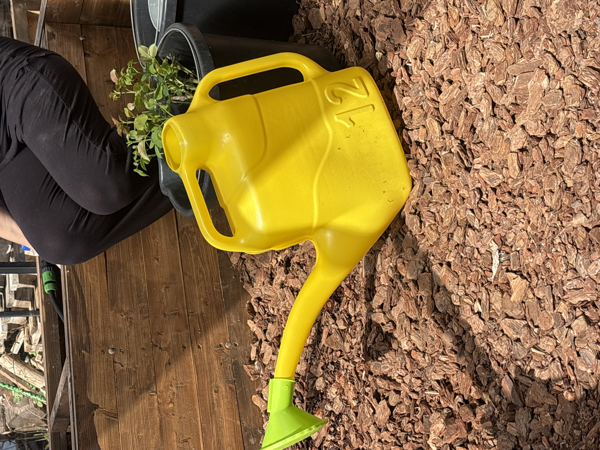 A brightly lit, slightly tilted, high-angle shot features a yellow and green plastic watering can lying on its side on a bed of brown wood chips. A black plastic pot containing green plants sits next to the watering can, and to the left, part of a person's legs in black pants are visible. The background is a wooden deck, and a green garden hose is seen near the left edge of the frame. The location is purportedly in Chaikovsky, Russia.