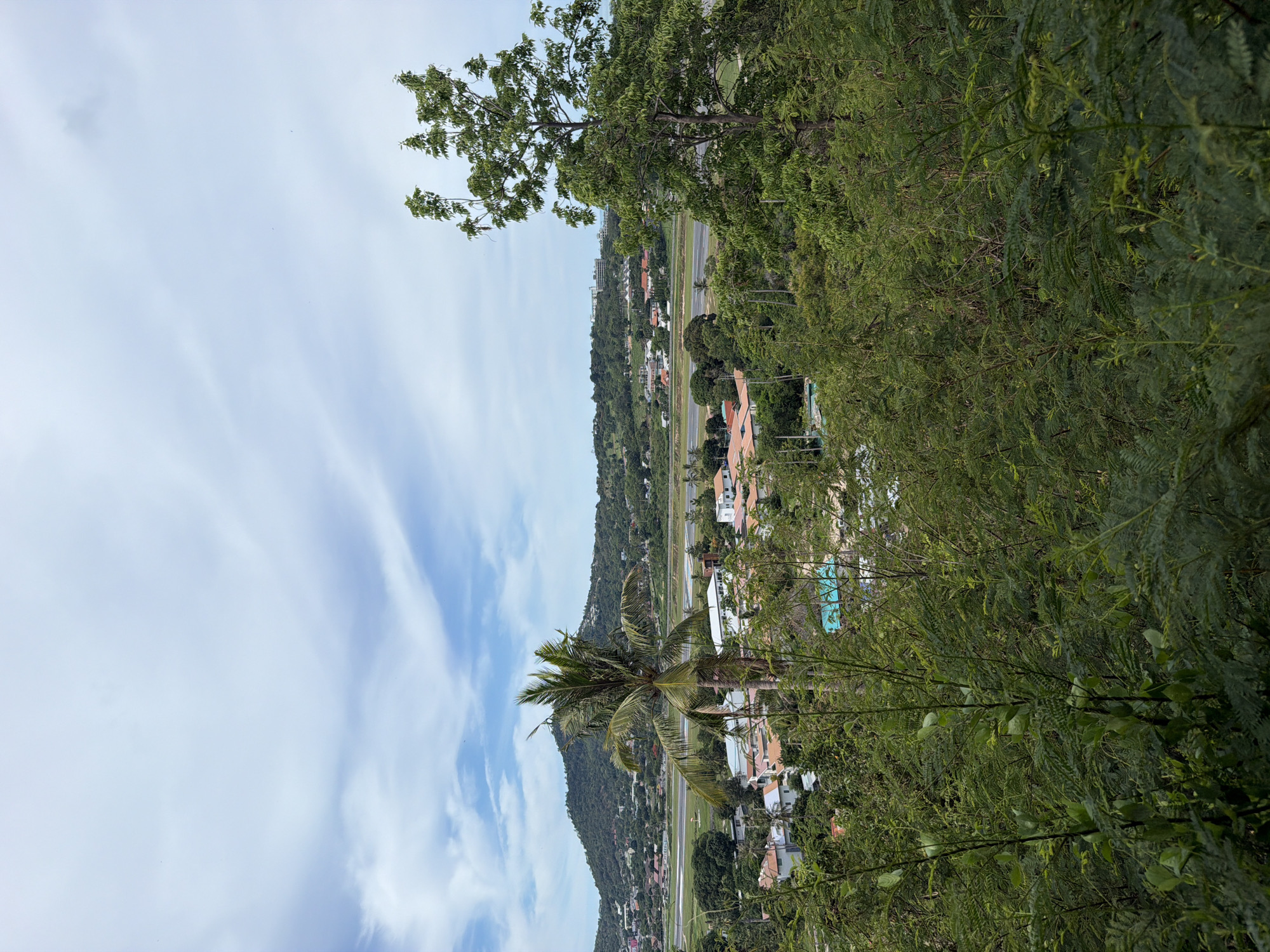 The image depicts a panoramic view of a coastal town in Ban Bang Rak, Thailand, with an airport in the mid-ground. The foreground is dominated by lush green foliage and trees, partially obscuring the view. In the mid-ground, a cluster of buildings with terracotta roofs are visible, along with a prominent palm tree. Beyond these, an airport runway stretches across the landscape, with a mountain range serving as a backdrop. The sky is partially cloudy with streaks of blue. The scene appears to be captured during daylight hours. No people or animals are discernible in the image.