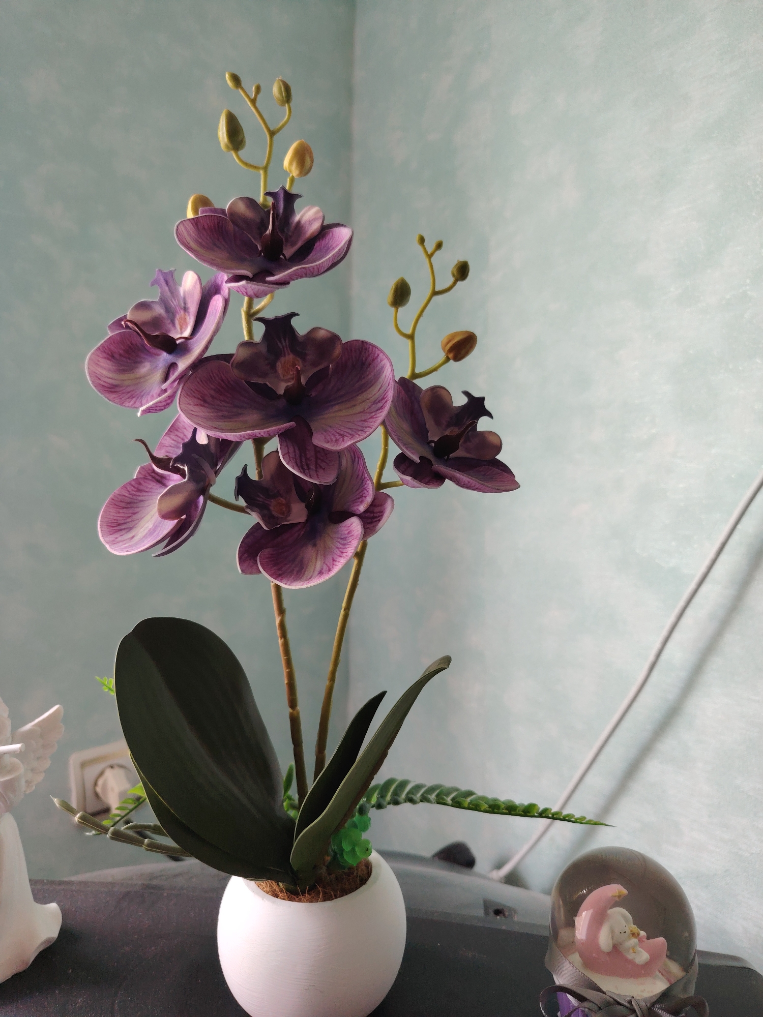 A purple orchid plant is displayed in a white pot on a dark surface. The orchid has multiple blooms and buds. To the left of the orchid is a portion of a white angel figurine. To the right of the orchid is a snow globe containing a pink moon with a white bunny on it. The background is a textured light blue wall. The scene is indoors. No information about Volnoye, Russia is visible or inferable from the image.