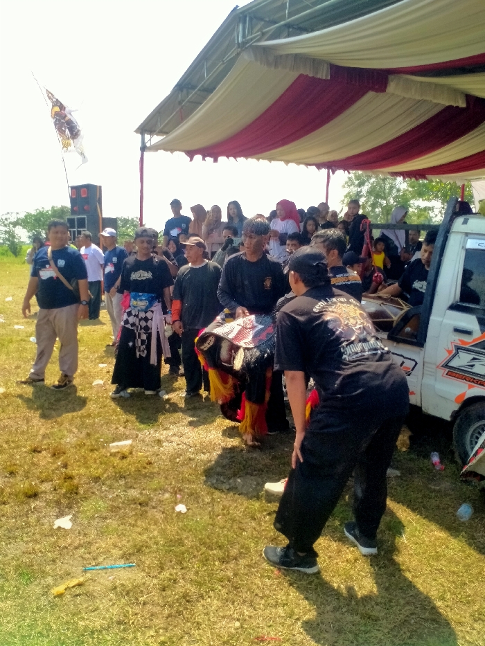 The image depicts an outdoor cultural gathering in Celep, Indonesia, under clear skies. A large, temporary canopy with alternating red and cream-colored stripes covers the right side of the frame. Beneath the canopy and extending into the open, a crowd of approximately 30-40 individuals, primarily adults, is visible; many are observing the central activity.
In the mid-ground, a central group of individuals is focused on what appears to be a performance or ceremonial preparation. A person wearing a black t-shirt with a gold-colored graphic on the back, reading "seni jaran..." (likely "Seni Jaranan") and "Sindurging...," is bent forward, interacting with an elaborate, colorful object. This object resembles a stylized horse head or mythical creature, featuring intricate patterns, prominent ears, and red and yellow tassels or mane. To the left, another man in a black t-shirt and a black-and-white checkered sarong-like garment observes, while a third man in a dark t-shirt and light pants stands further left.
To the far right, the rear section of a white pickup truck, marked with orange and black graphics, serves as a makeshift platform. At least two traditional Indonesian drums (kendang or similar Gamelan instruments) are visible in the truck bed, with one individual seated nearby, suggesting a musical performance component.
In the background to the left, a tall pole bears a white flag adorned with a dark, stylized emblem, likely an eagle or Garuda-like figure. A large black speaker stack is positioned near the flag. The ground consists of dry, sparse grass with scattered pieces of white debris and a blue plastic item visible in the foreground. Strong shadows cast by the people and objects indicate bright daylight. The distant background on the left shows an open, undeveloped field under a bright sky.