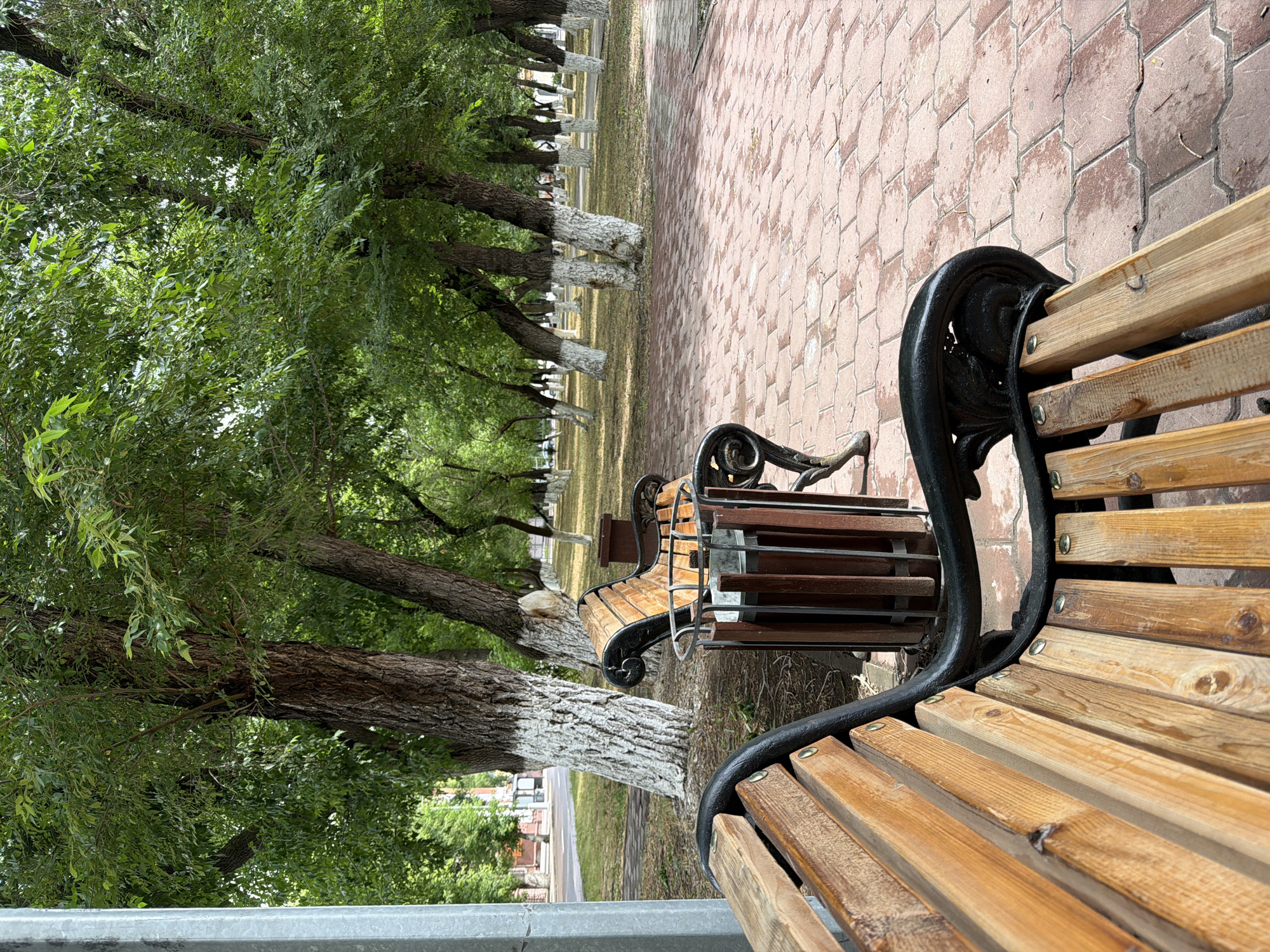 This is a photograph of a park bench in Karaganda, Kazakhstan. The bench is made of wood and black metal and is situated on a brick pathway. Behind the bench, there are several trees with white-painted bases. The trees are tall and have green foliage. The ground is covered with grass. In the background, there is a street with cars and buildings. The sky is overcast.