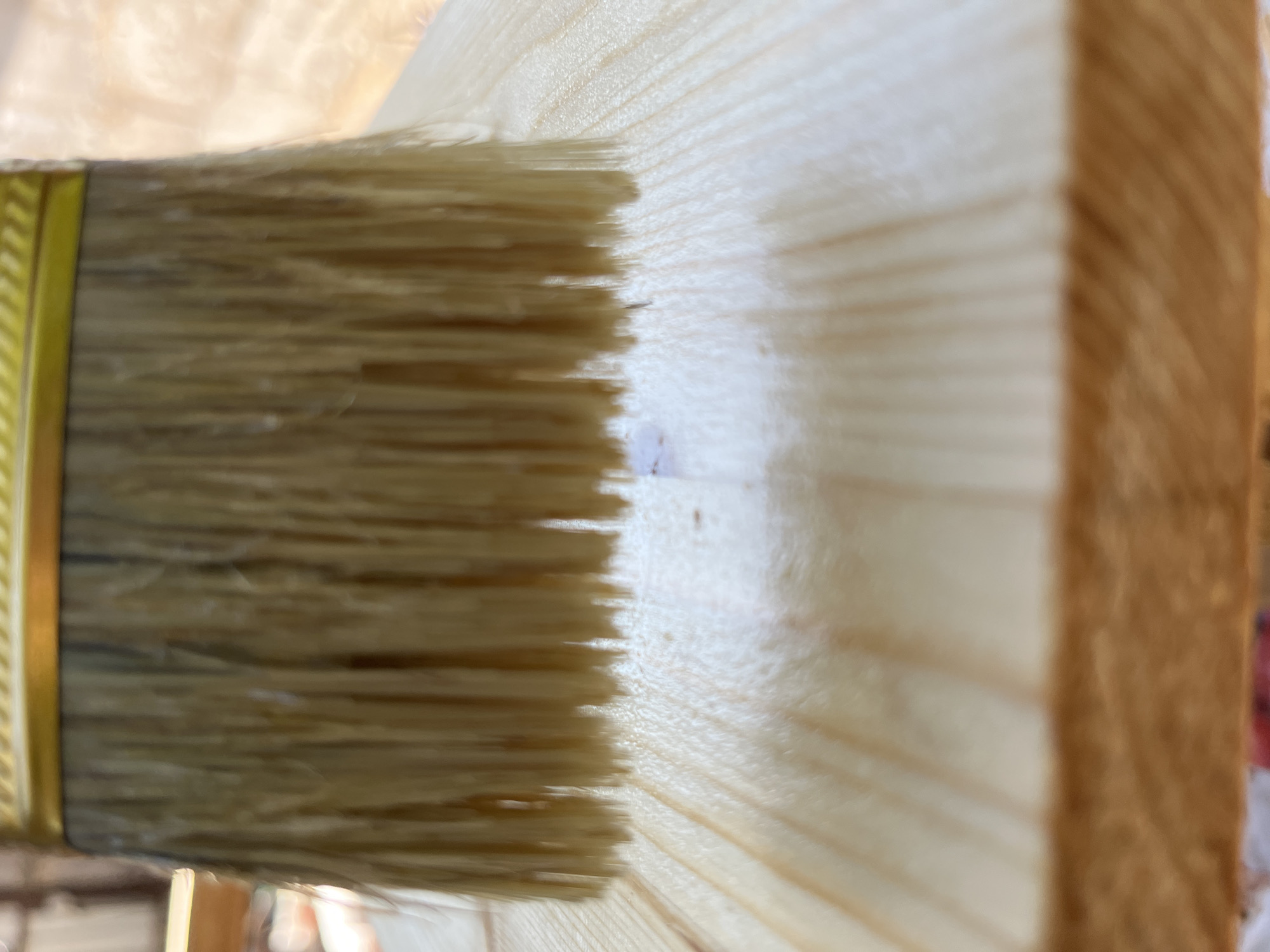 The image shows a close-up, low-angle shot of a paintbrush with light-colored bristles hovering just above a piece of light-colored wood. The bristles are densely packed and appear to be natural hair. A golden metal ferrule secures the bristles to the handle, which is only partially visible. The wood surface is smooth and shows distinct grain patterns. There are some slight imperfections or dust particles visible on the wood. The lighting suggests an outdoor or well-lit indoor environment, casting soft shadows and highlighting the sheen on the wood, indicating it may be varnished or wet. There is no indication of the location being in Krasnyye Barrikady, Russia; this detail is not supported by the visual information in the image.