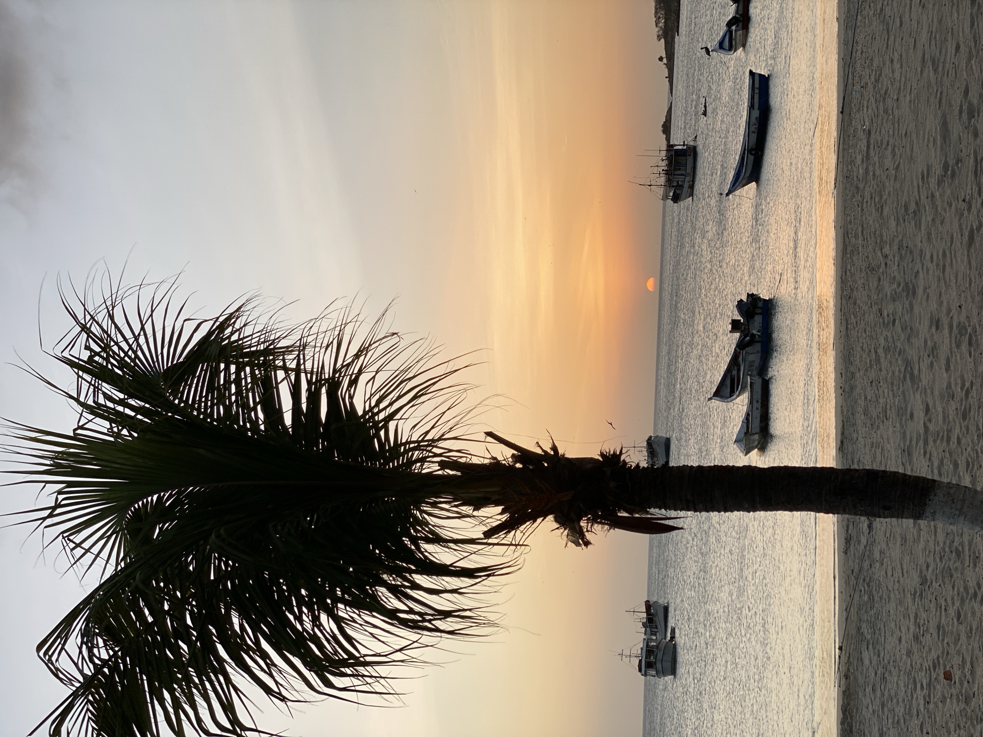 The image is an outdoor shot taken in Juan Griego, Venezuela, featuring a beach at sunset. Dominating the left side of the frame is a silhouetted palm tree. The sun is setting on the horizon, casting a golden glow across the sky and the sea. Several boats are anchored in the water, their forms also darkened against the bright sunset. The beach extends along the right side of the image.