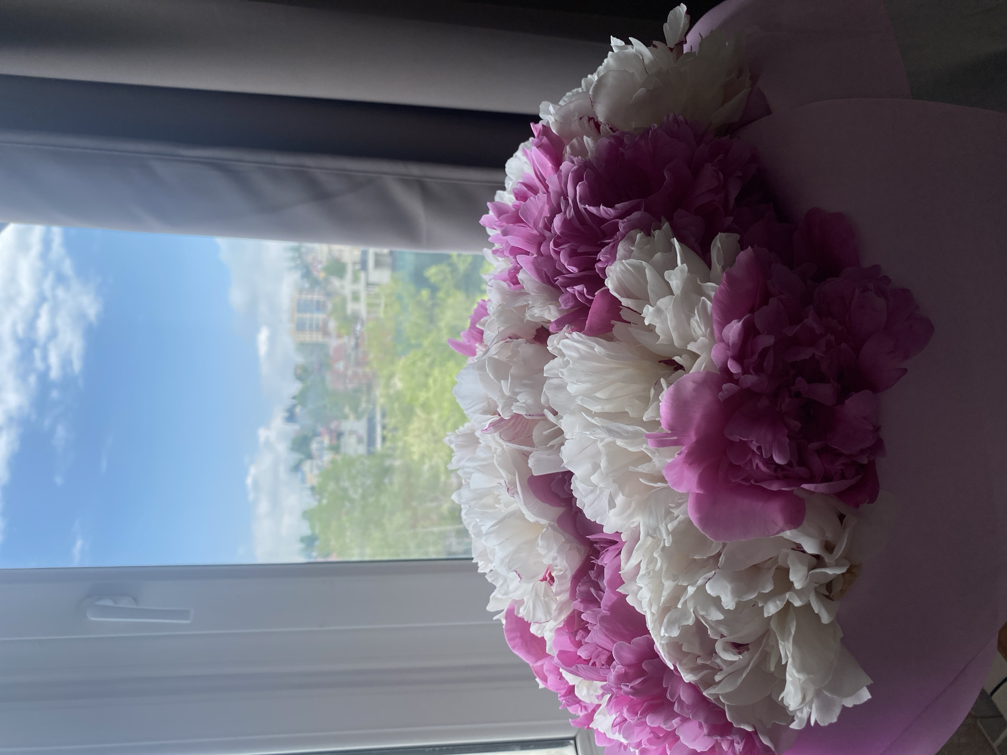 A close-up shows a bouquet of white and pink peonies in a pink wrapper, positioned near a window. Through the window, a section of Sochi, Russia, is visible, including trees, buildings, and a blue sky. The window is partially open.