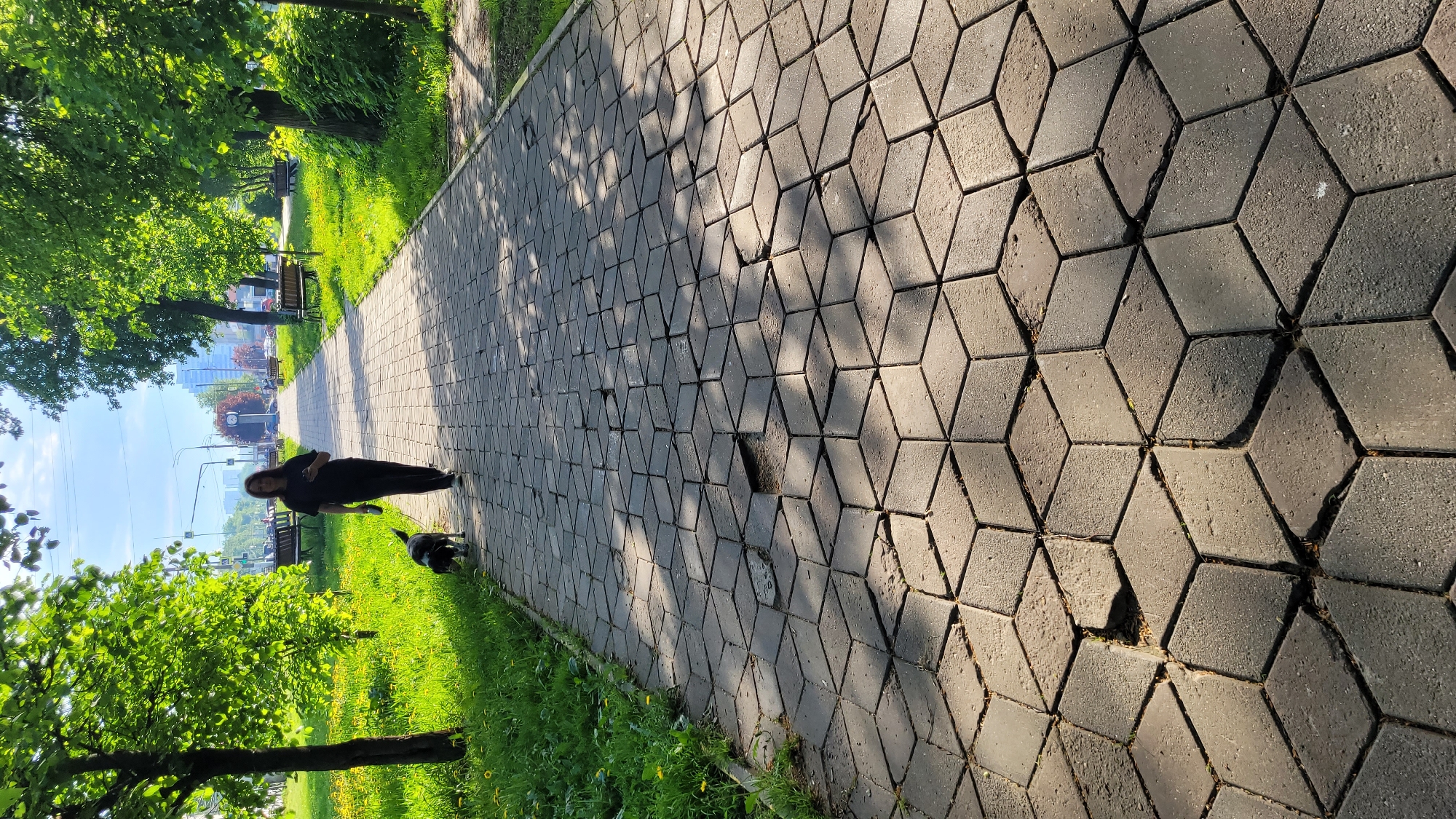 A woman in a dark outfit walks a dog on a hexagonal-paved path in an urban park setting. The path extends into the distance, framed by green trees and grass on either side. A street with cars and buildings is visible beyond the trees. The light suggests it is either early morning or late afternoon. The location is Unknown, Unknown.