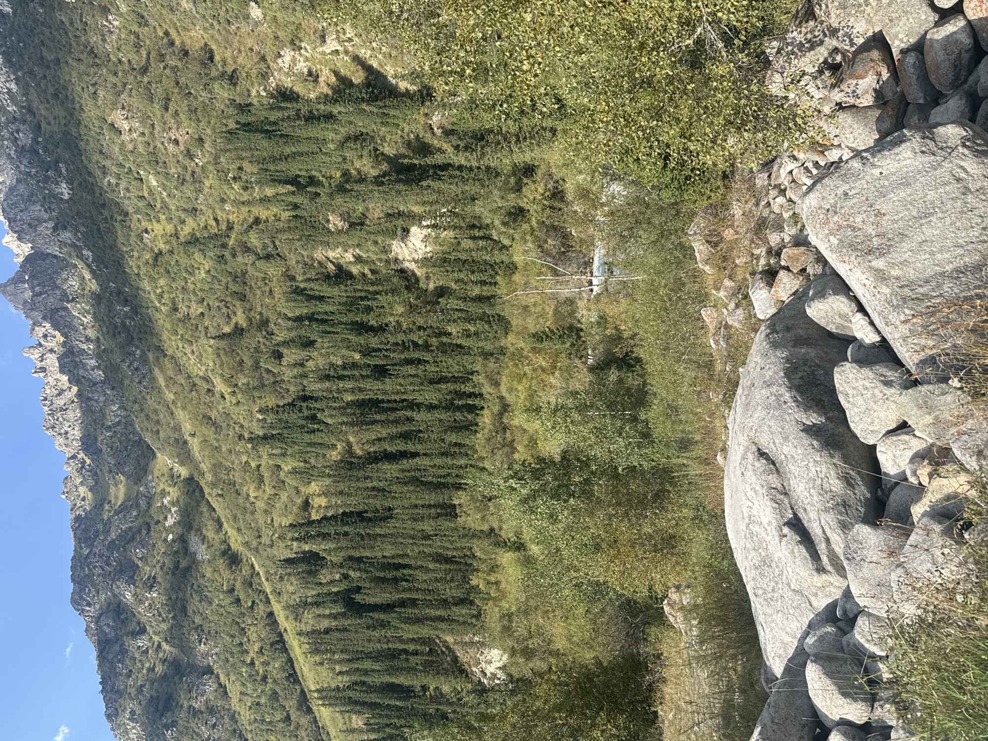 A wide-angle, eye-level, full shot captures a mountainous landscape on a sunny day under a clear blue sky. In the foreground, large, grey boulders are scattered across a grassy area. The middle ground is dominated by a dense forest of tall, dark green coniferous trees. Beyond the forest, a steep, rocky mountain slope rises, covered in sparse vegetation and patches of grey rock. A narrow, light blue river is visible in the distance, flowing through the trees. The scene depicts a natural, undeveloped environment.